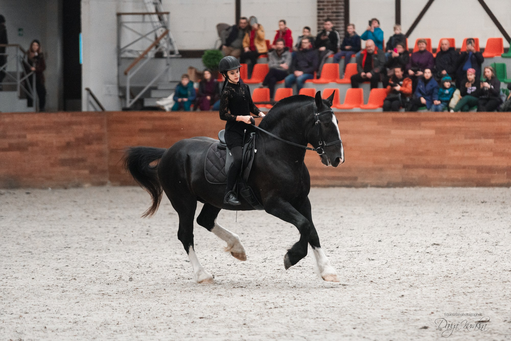 8-я международная выставка Конная Россия. Конный фотограф Куракина Дарья • Фотосессии с лошадьми