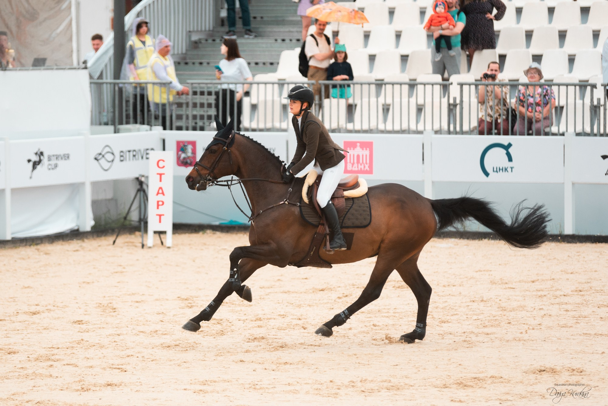 BITRIVER CUP 2023. Конный фотограф Куракина Дарья • Фотосессии с лошадьми