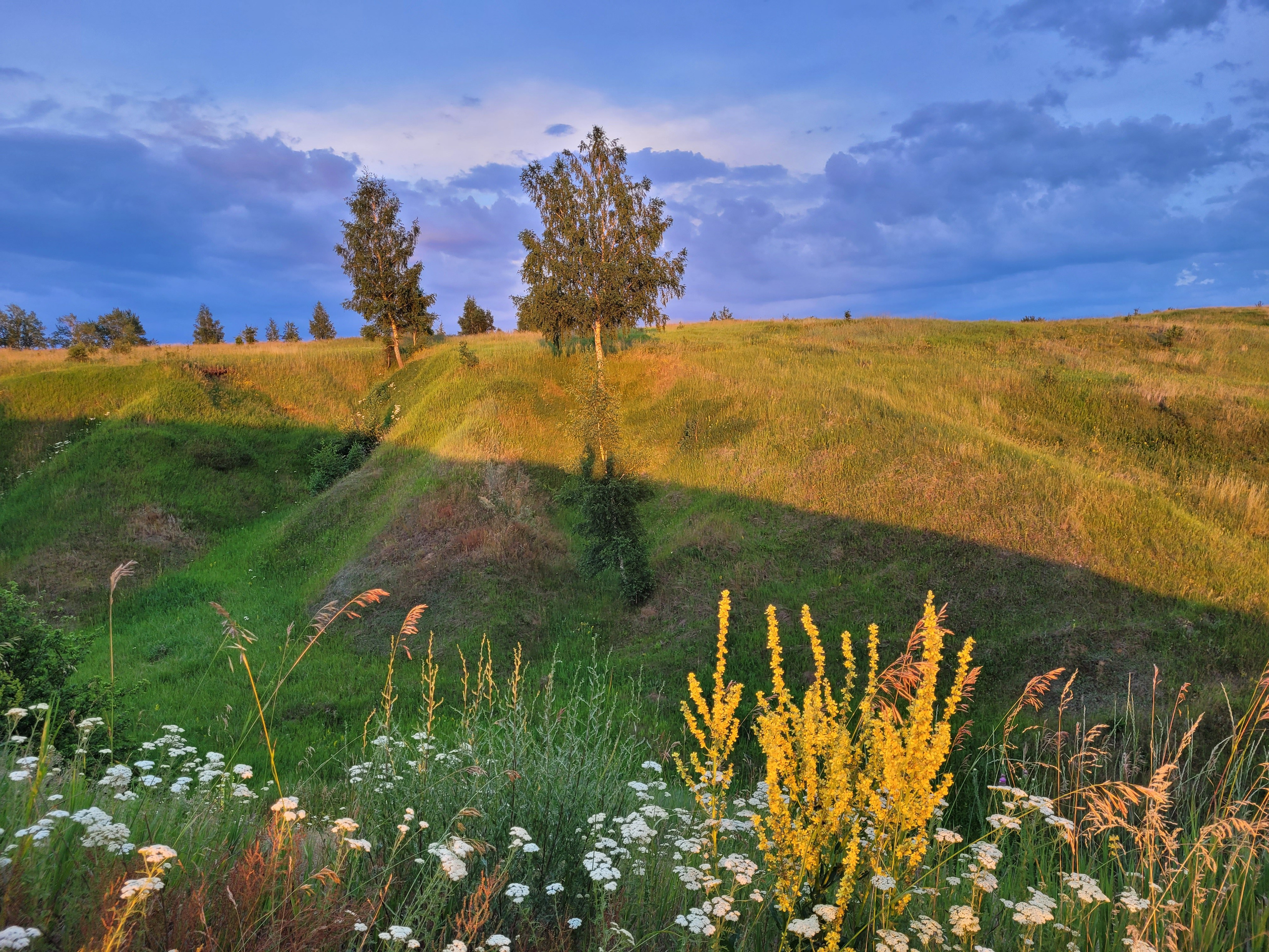 Ефремов, д. Красногорское, Ведьмины камни. Пейзажная и архитектурная фотография в Туле, Татьяна Silva
