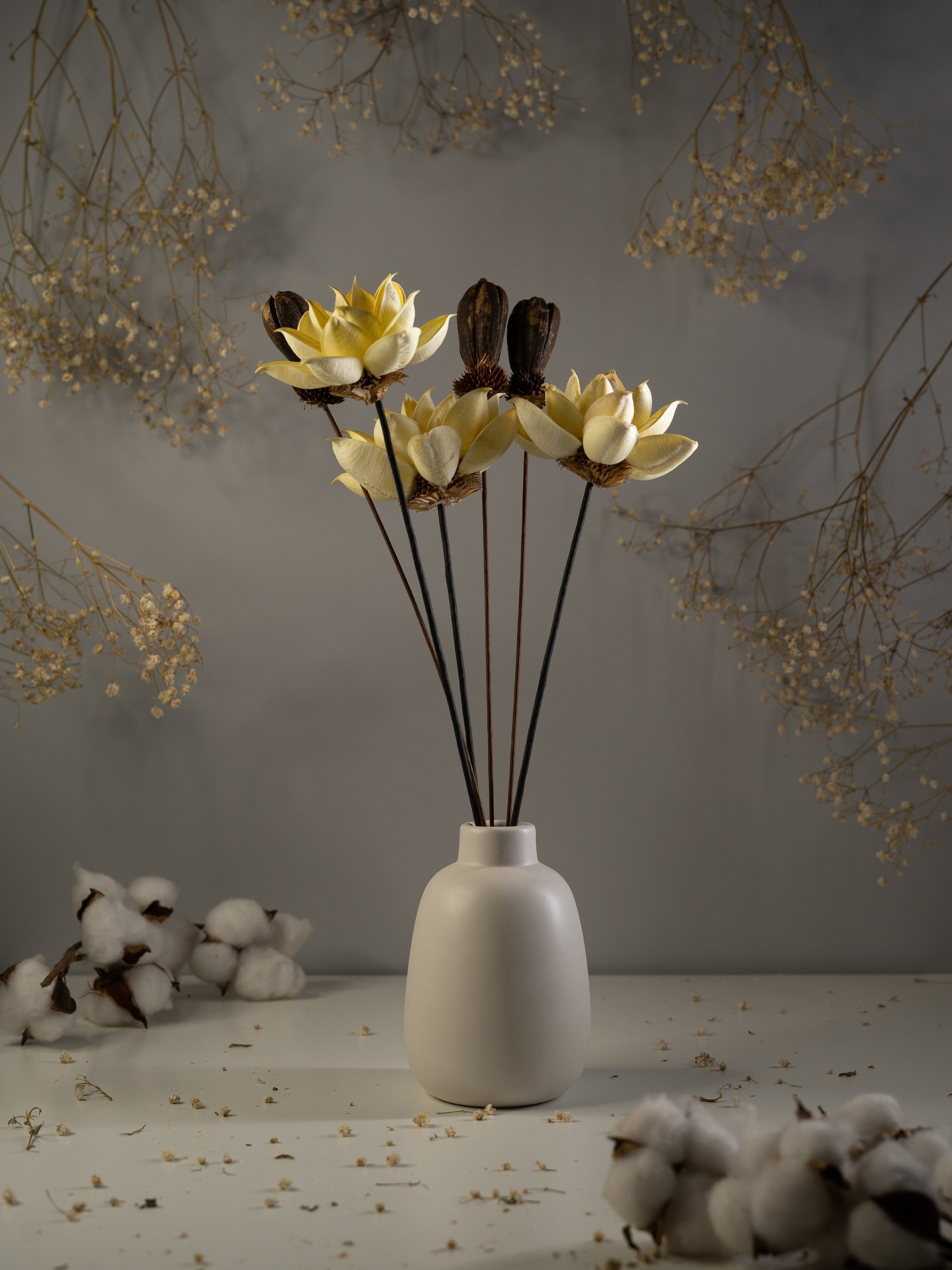 Ваза. Концептуальный фотограф Шлыкова Ольга