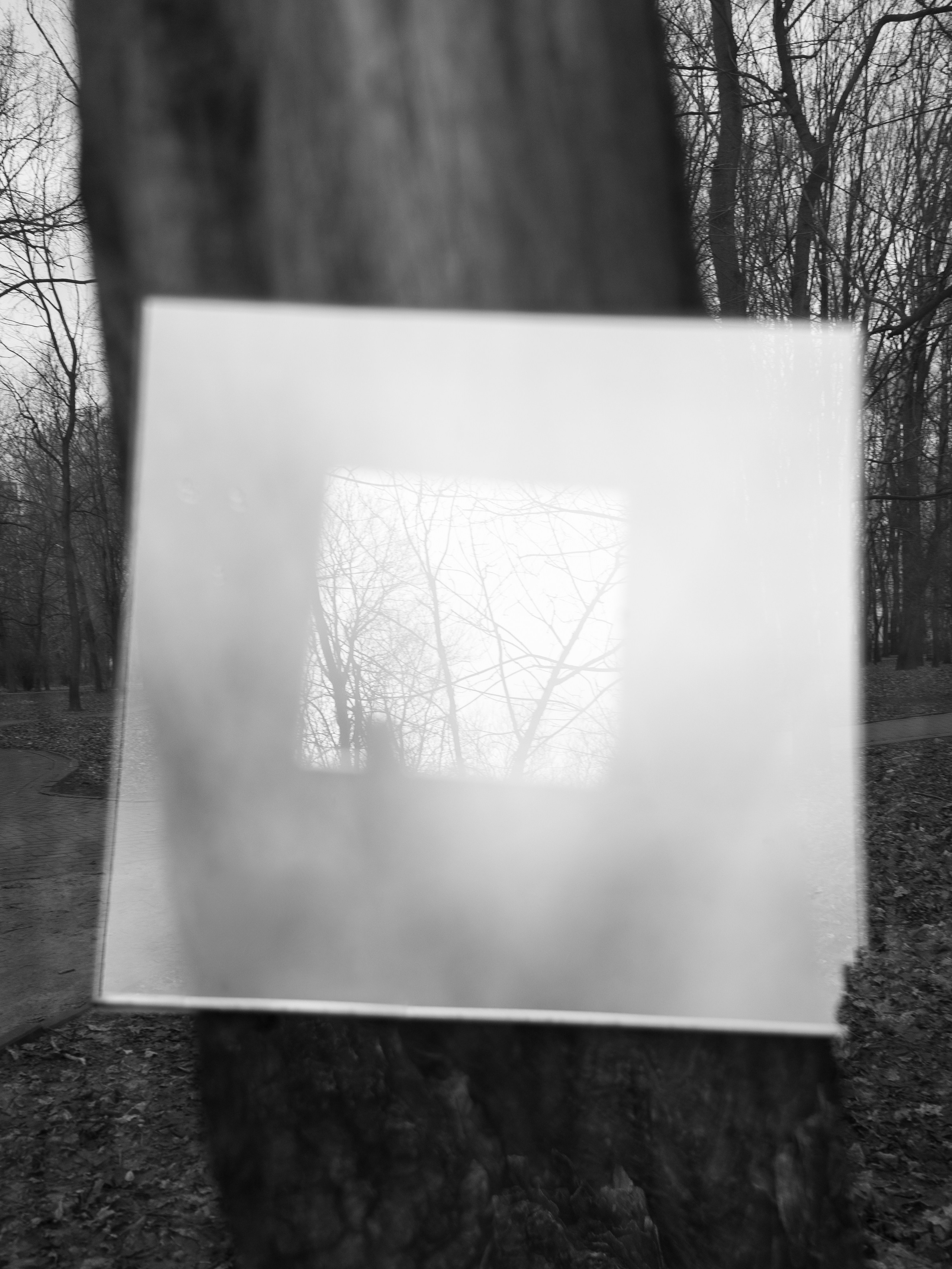 Пейзаж в интерьере | Interior landscape. Фотограф алина стерхова, алина стерхова фотограф, фотограф москва