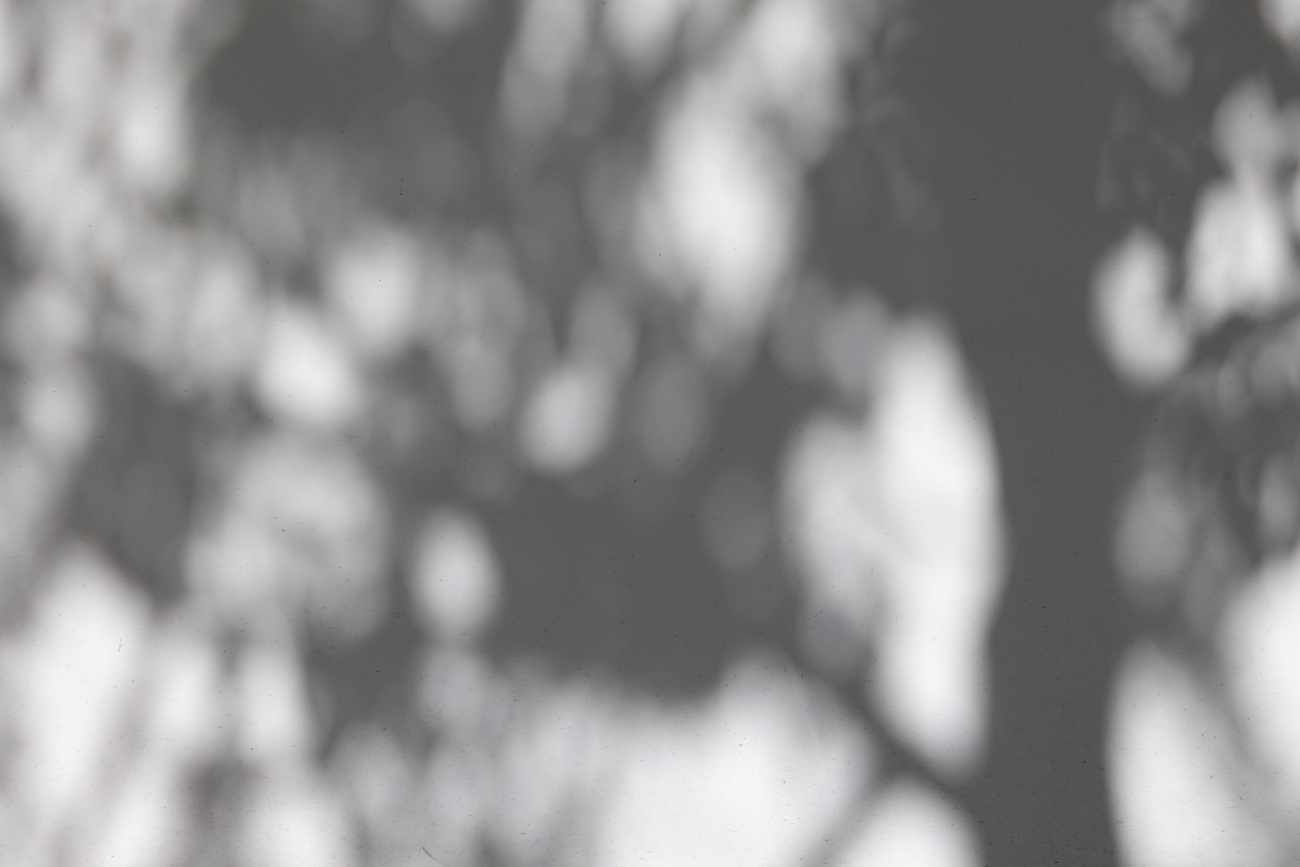 Art prints. Фотограф алина стерхова, алина стерхова фотограф, фотограф москва