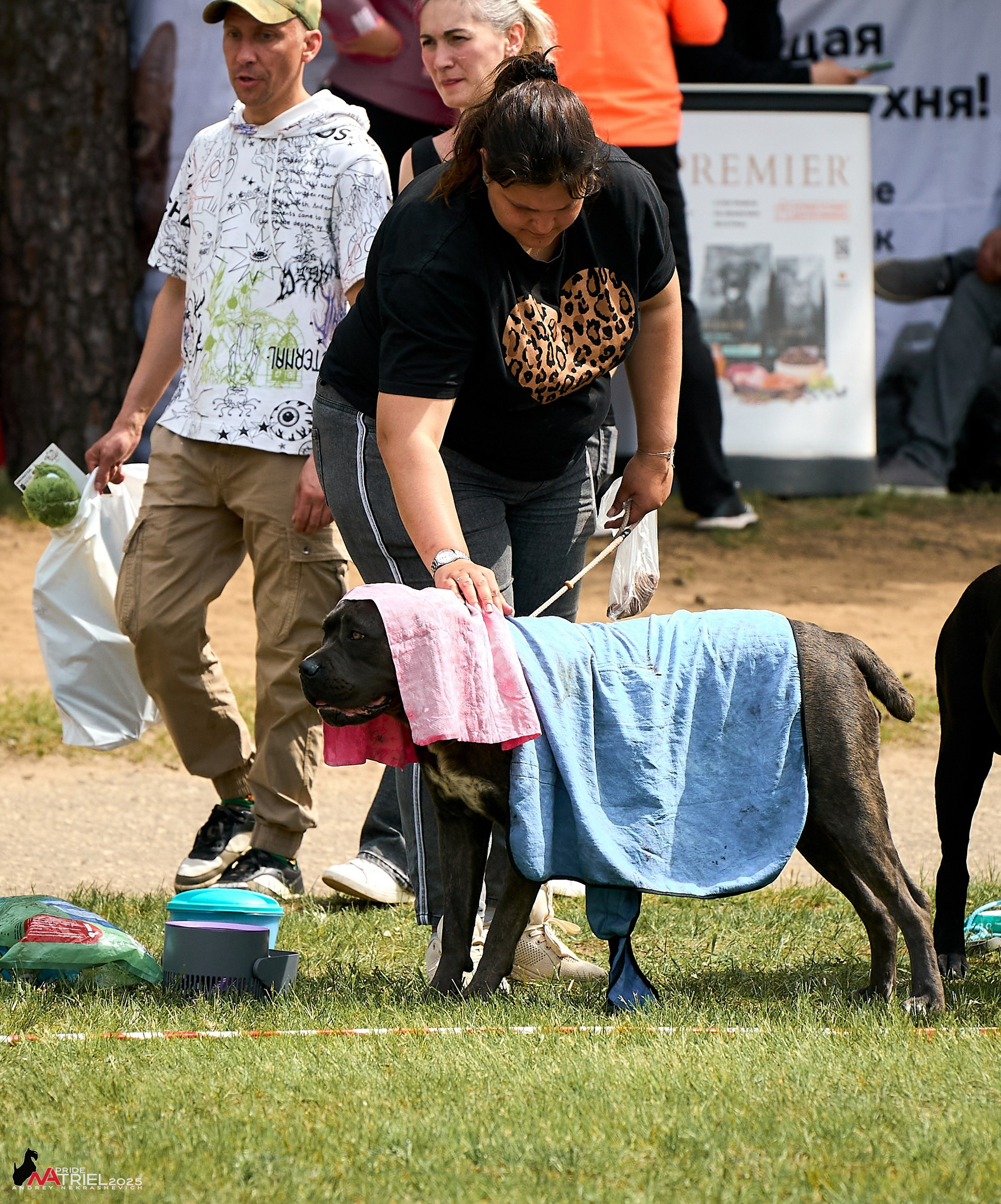 Выставка собак Суздаль-Владимир