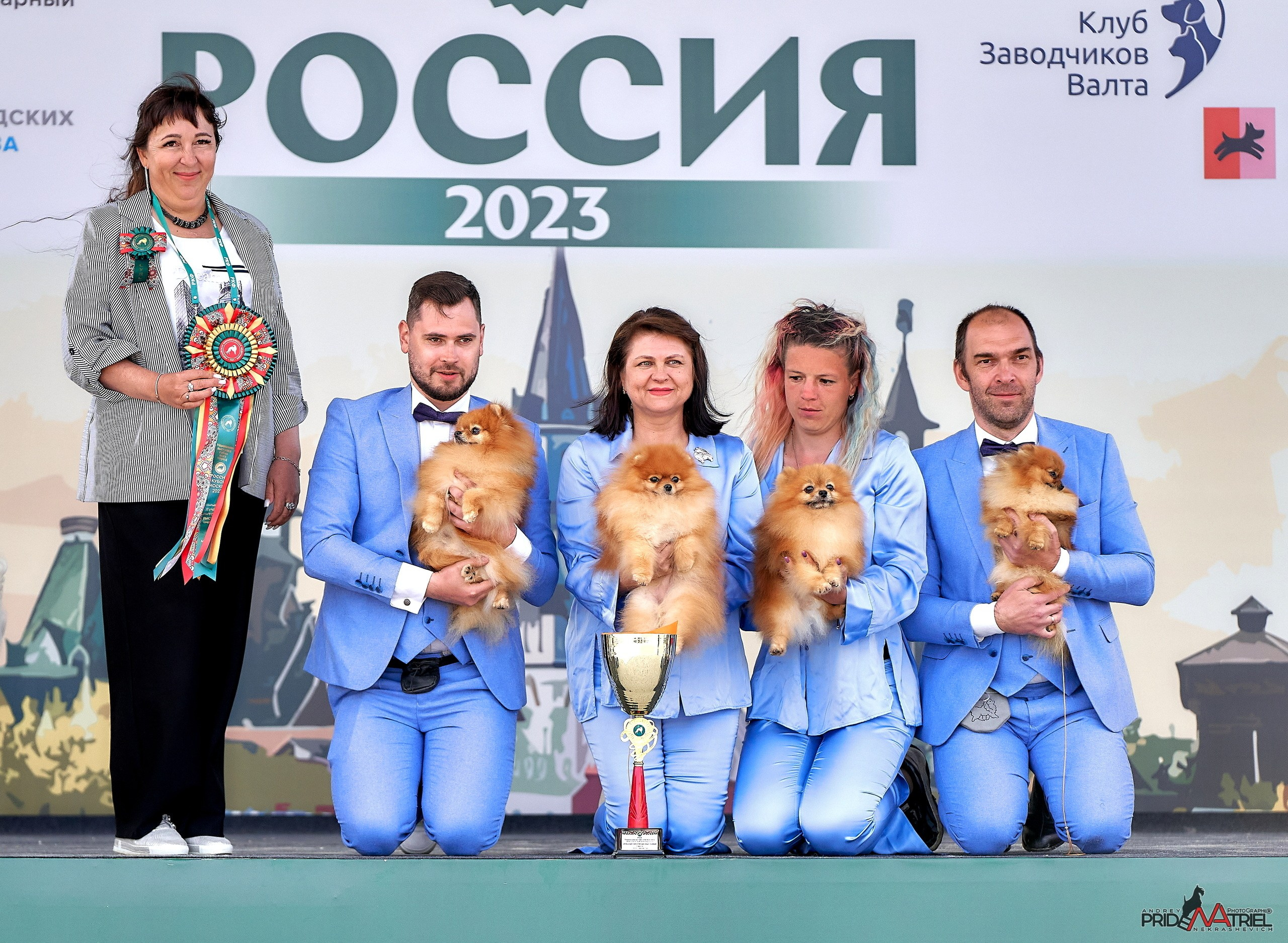 Призовые места — галерея NATRIEL