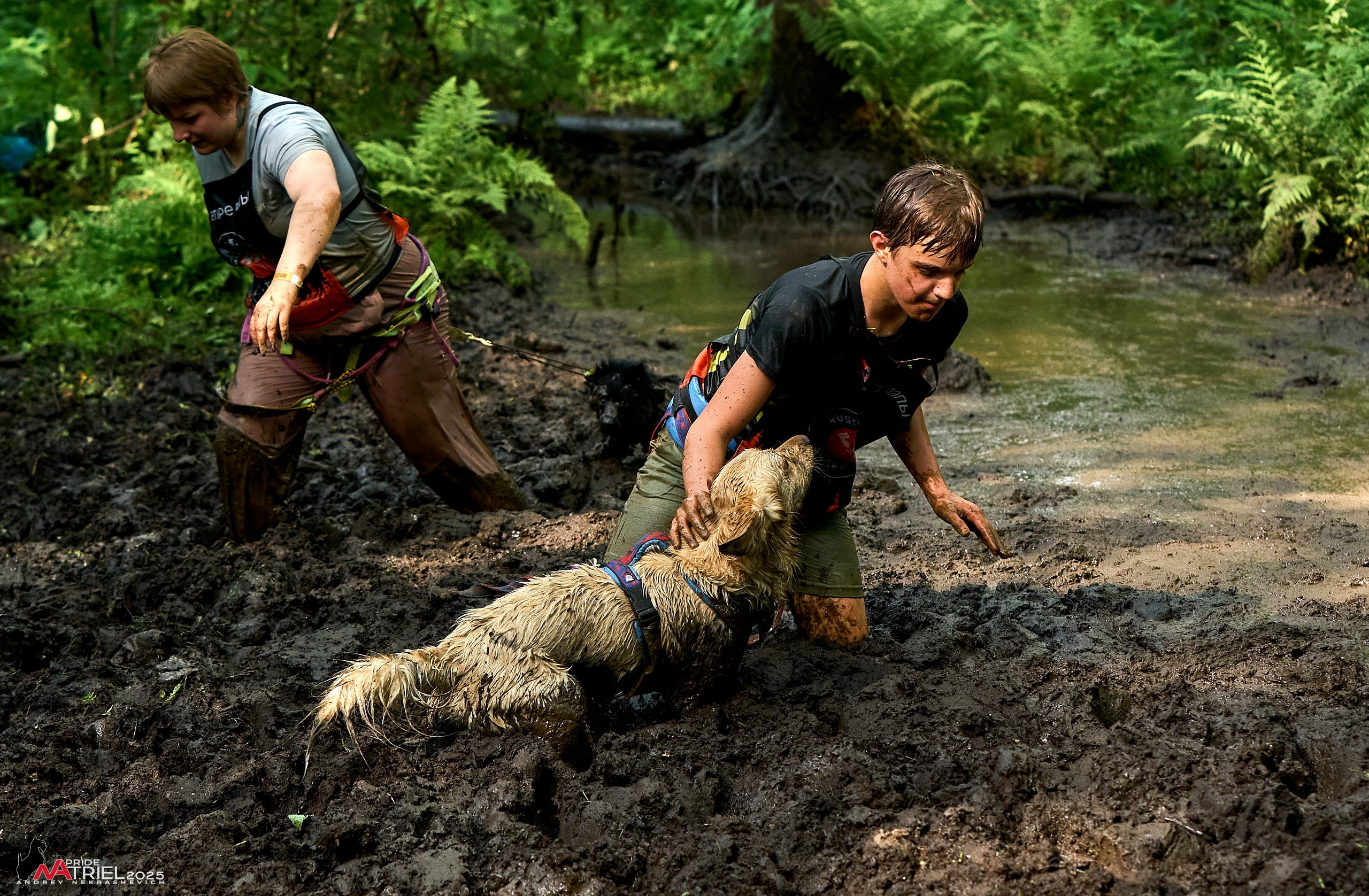 Russian Extreme Dog Trail — 2025