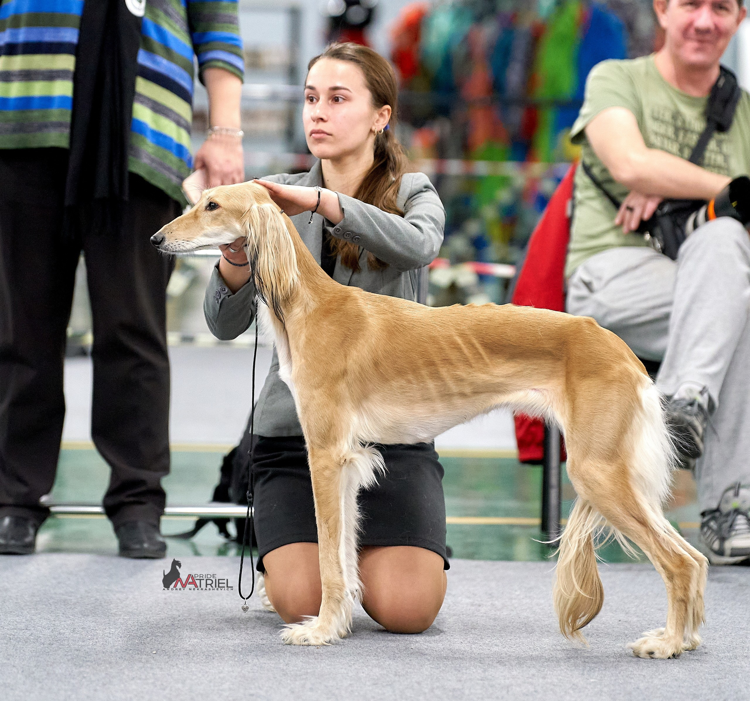 Работа в рингах — галерея NATRIEL