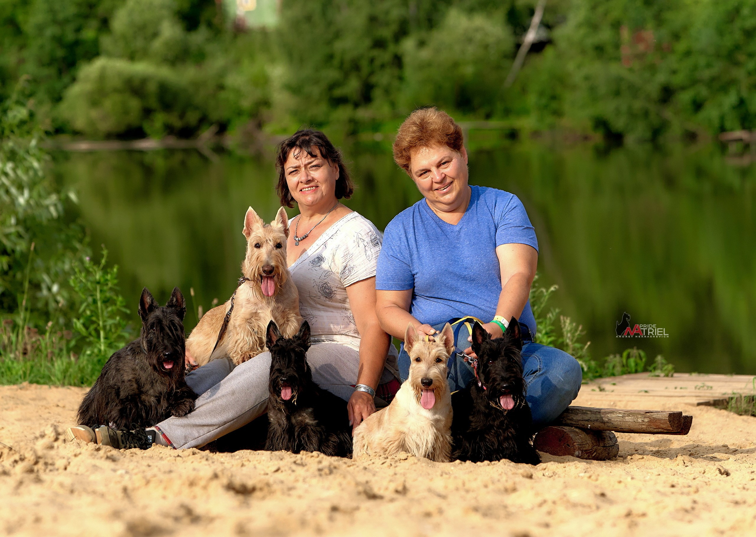 Собаки и Люди — галерея NATRIEL