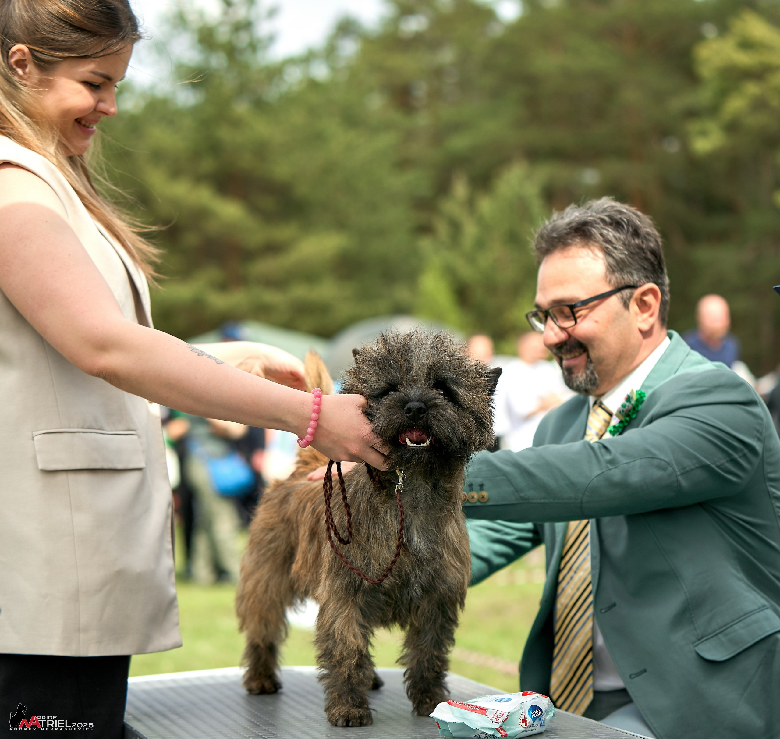 Выставка собак Суздаль-Владимир