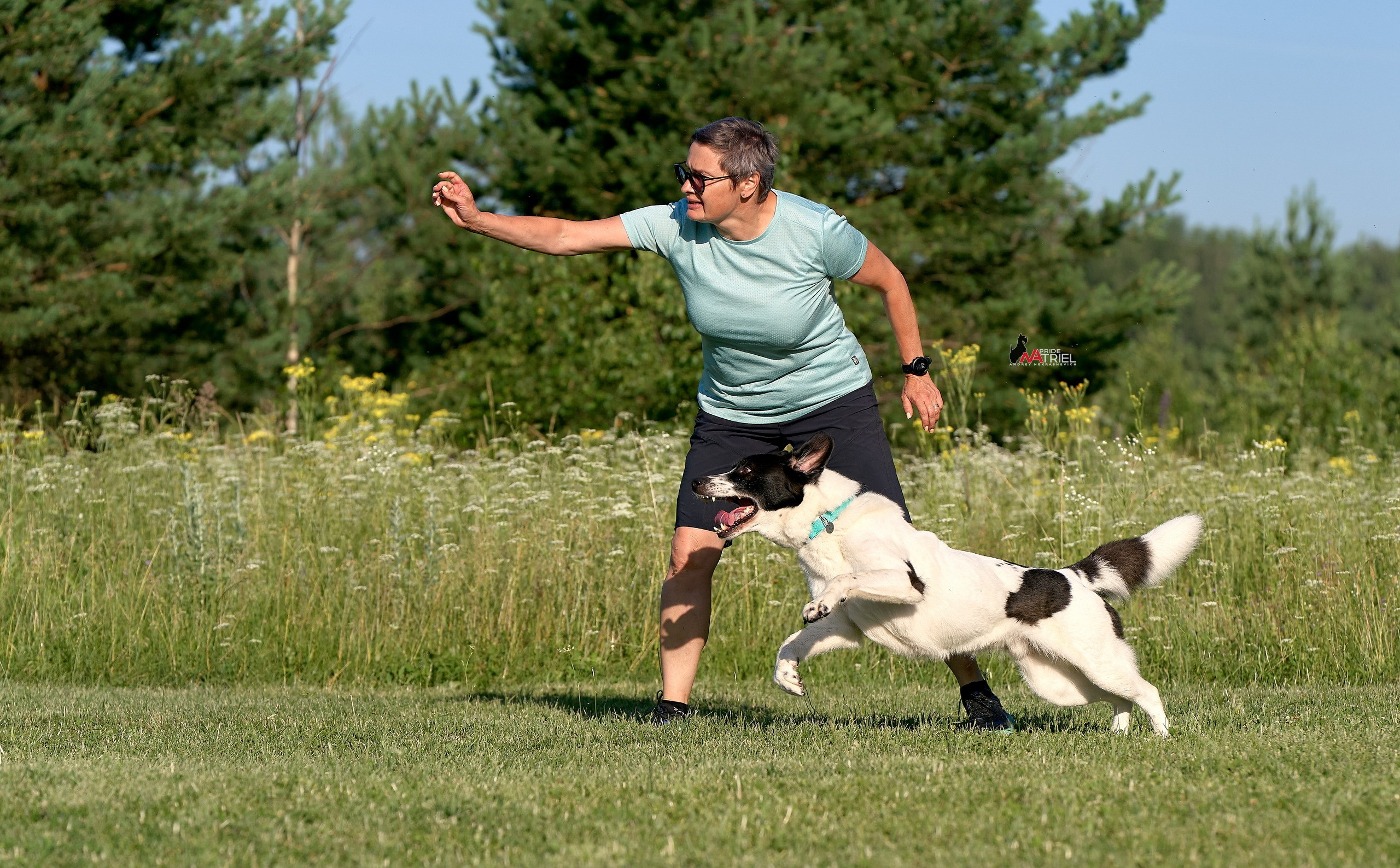 Обидиенс и танцы с собаками — галерея NATRIEL