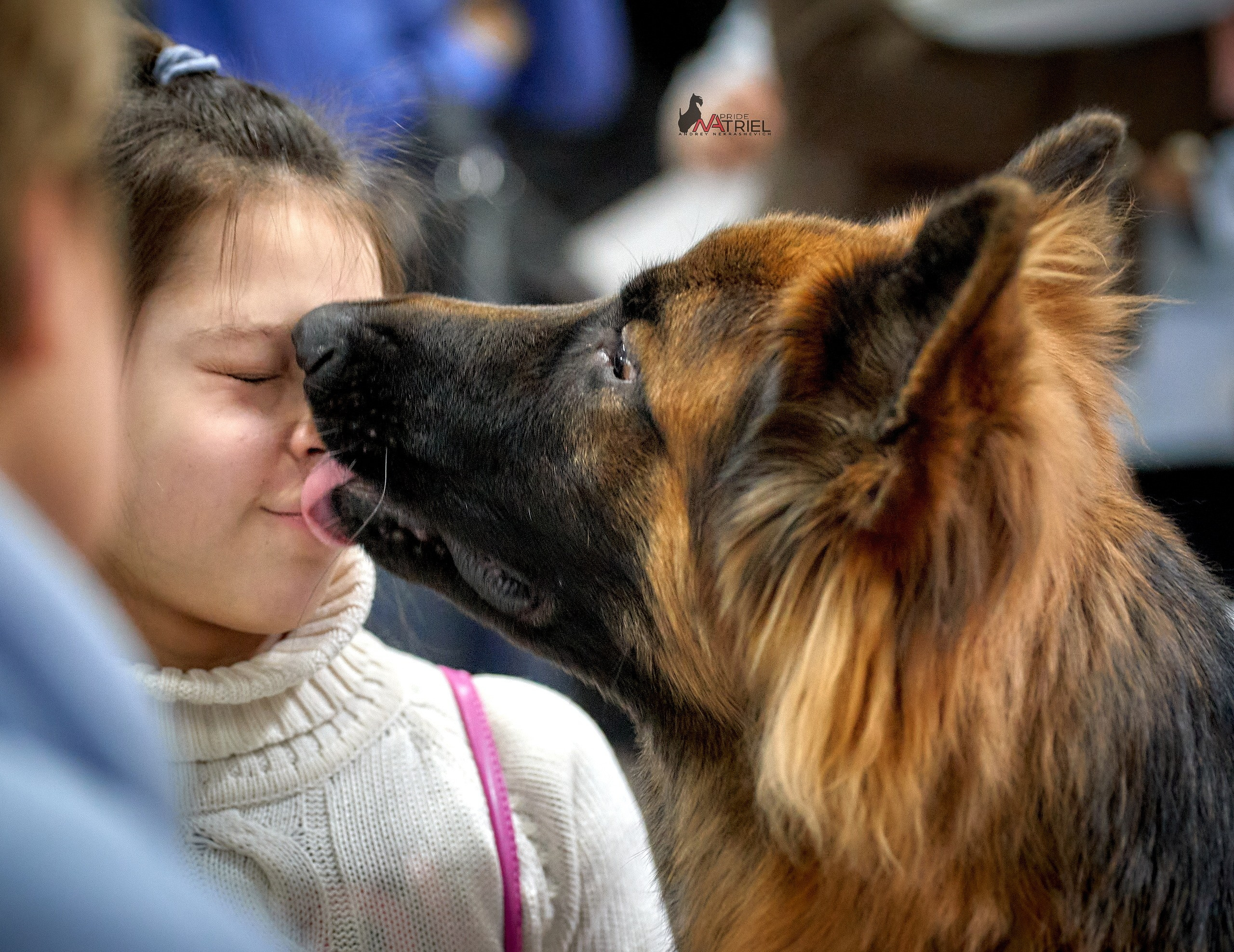 Картинки с выставки — галерея NATRIEL