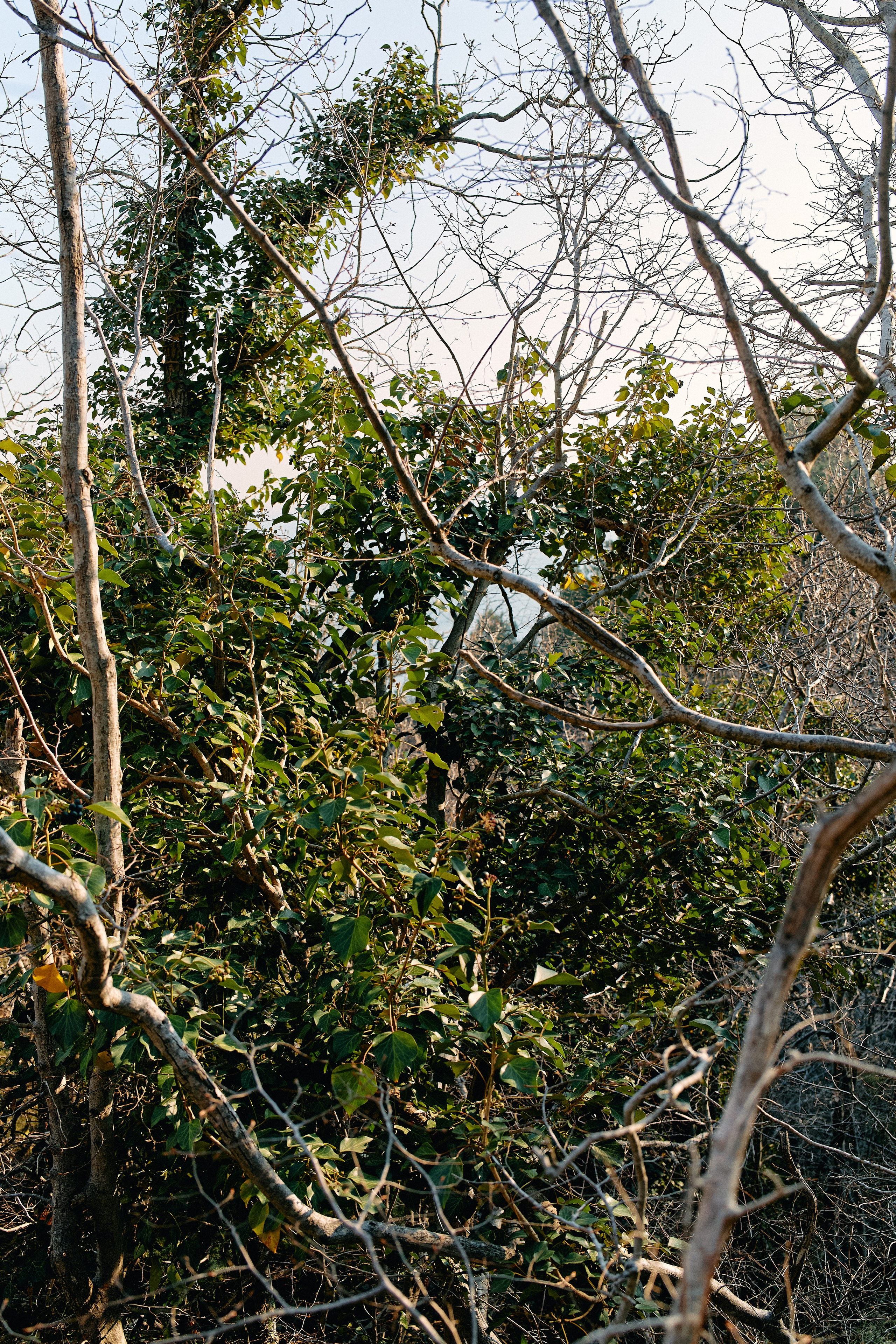 Юг России. Профессиональный Фотограф во Владимире, в Москве и в Суздале — Полина Романычева