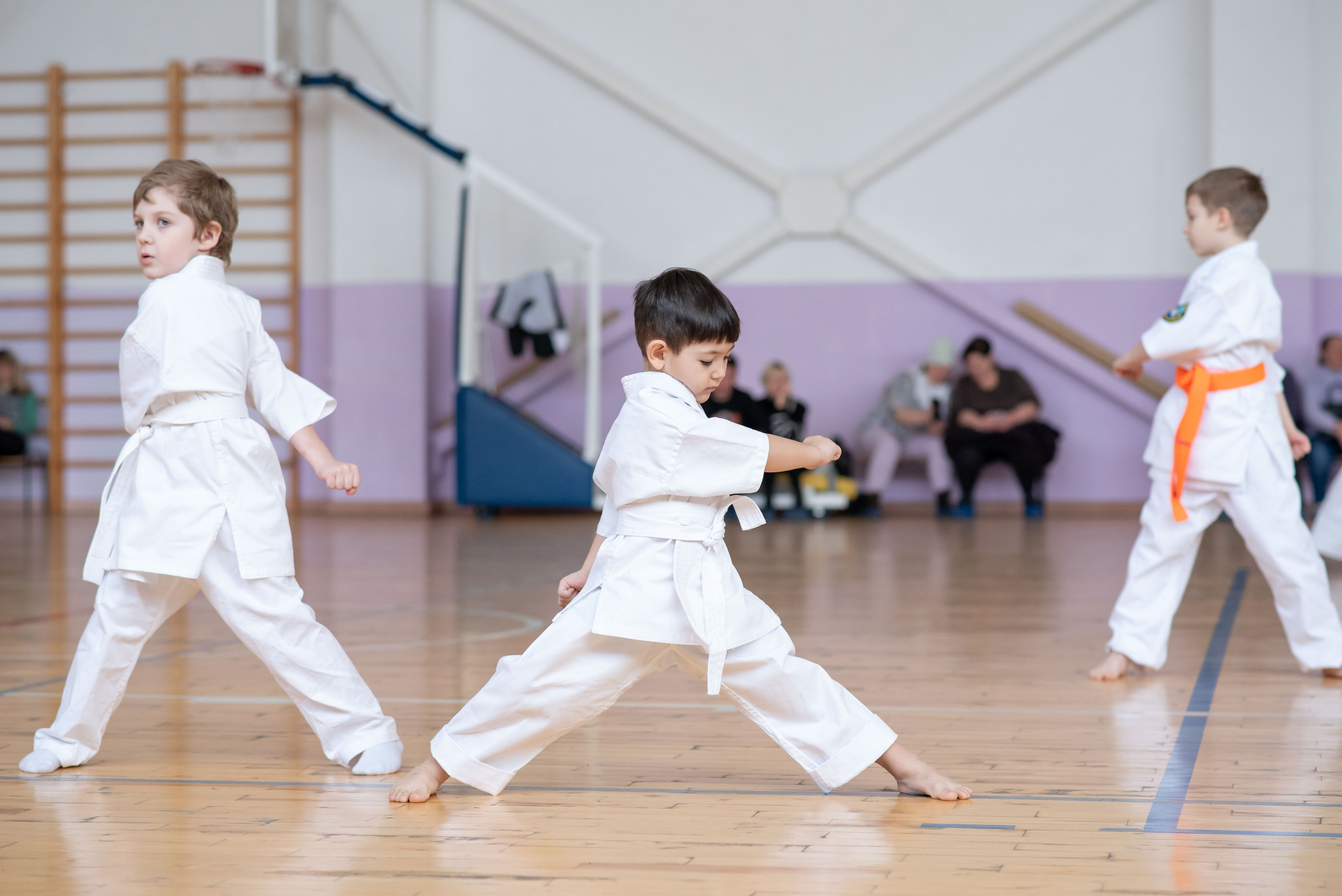 Карате. Тренер Артур Шатверян. МК к Дню Защитника Отечества. Спортивный фотограф в Туле и Тульской области. Файсханова Фото Спорт