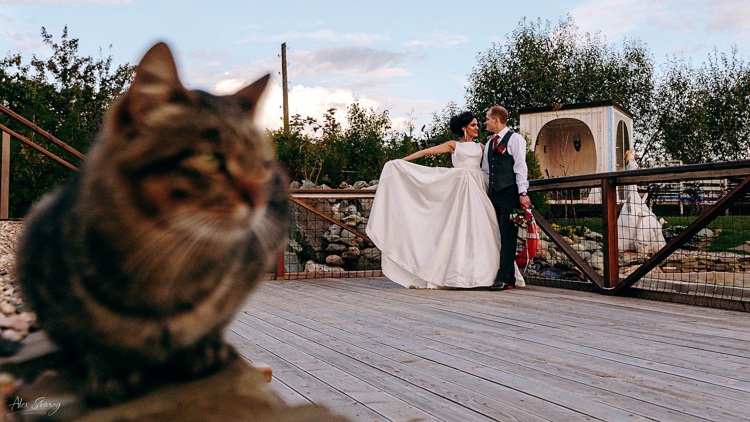 Анатолий & Диана. Свадебный и репортажный фотограф-видеограф Москва и Московская область