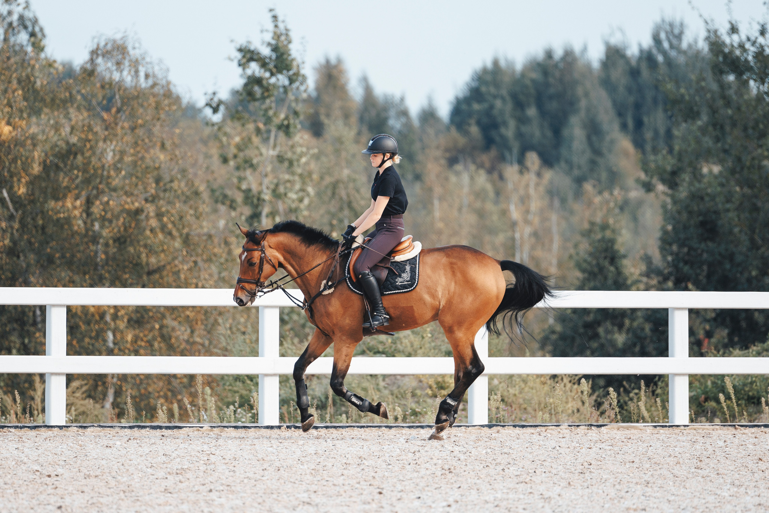 Конкур. Фотограф-анималист Анна Маринич
