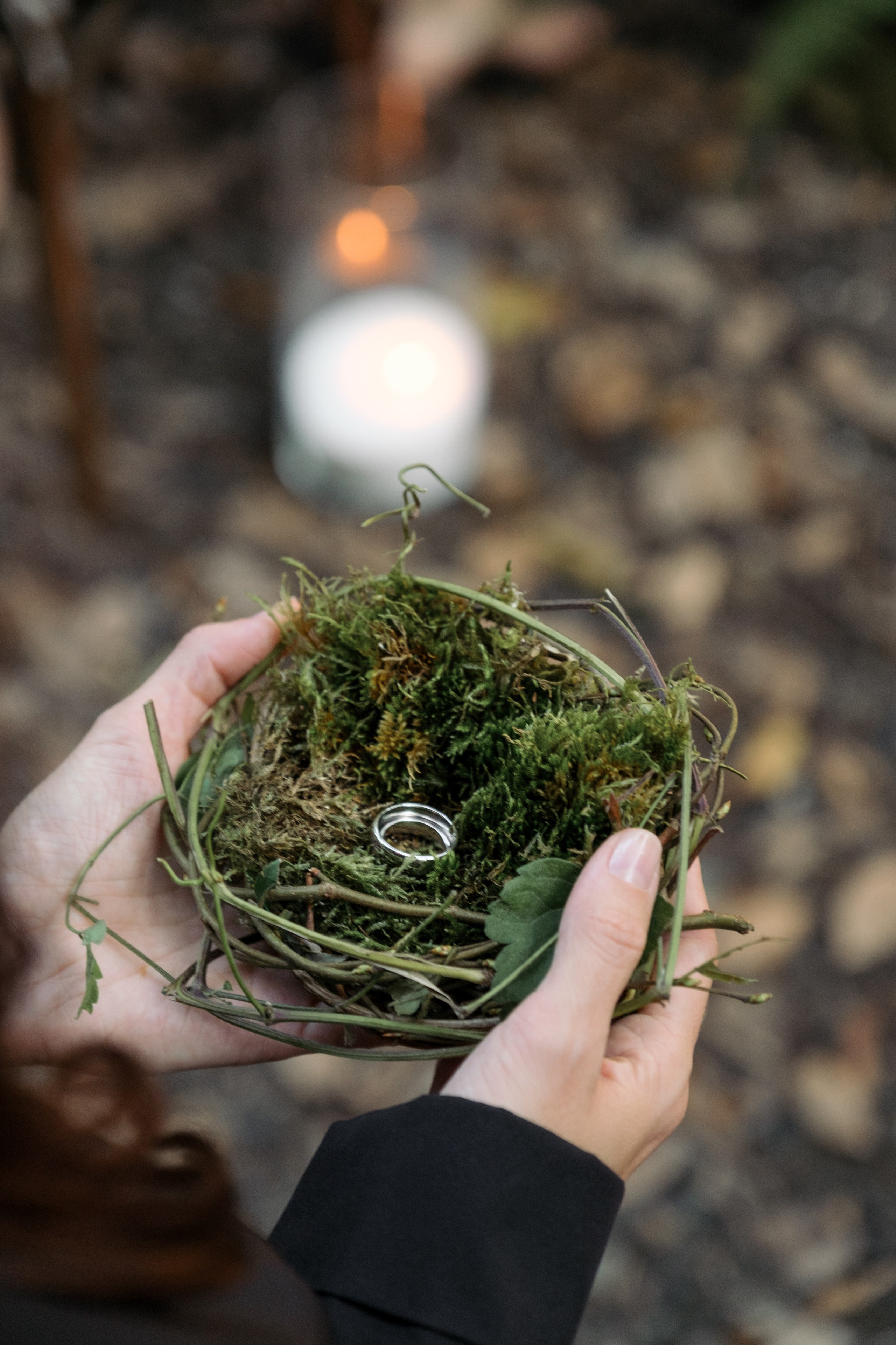 Кот и Дракон. Свадебный Видеограф Фотограф в Сочи