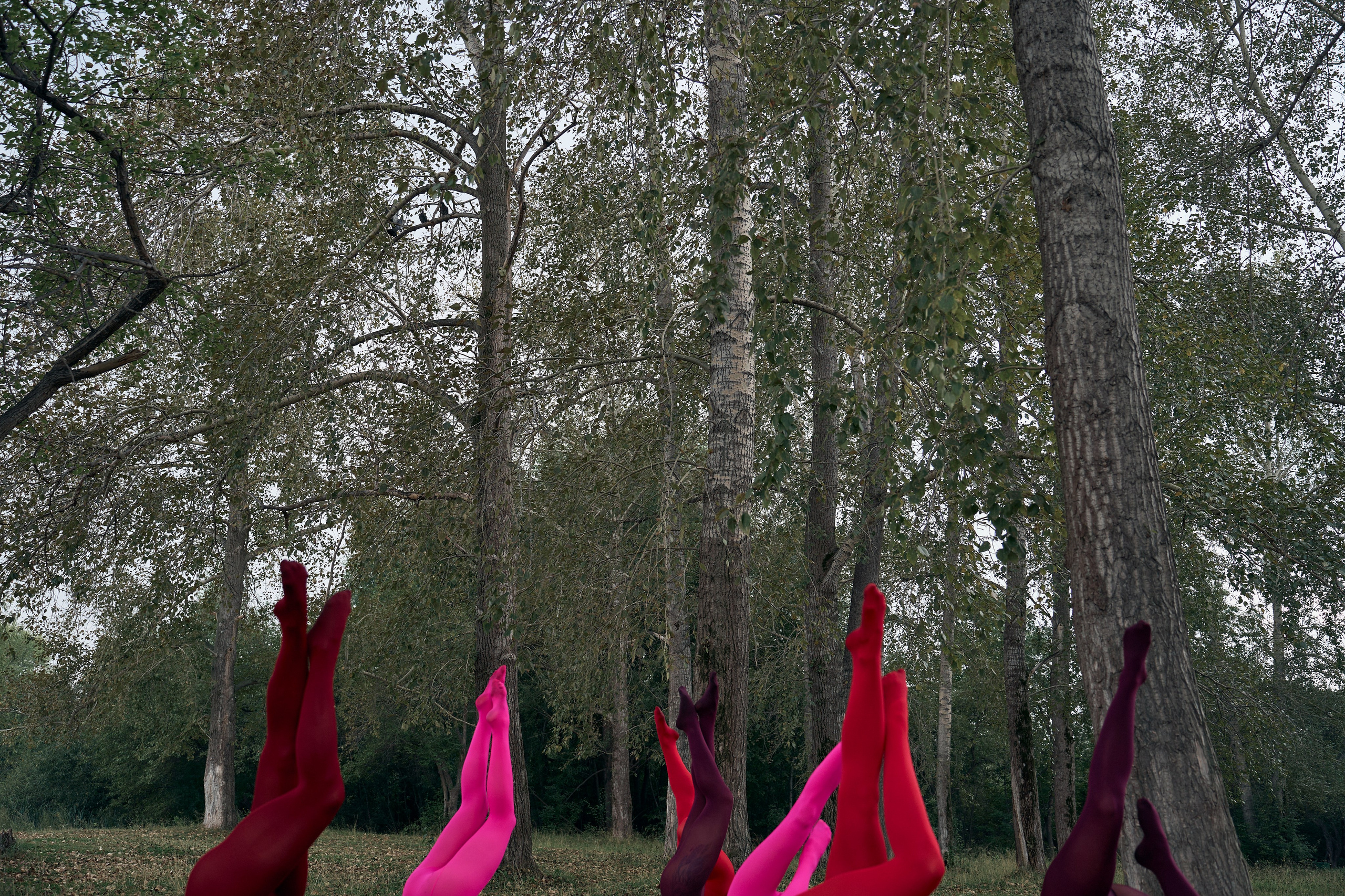 Принять себя. Ваш фотограф Анастасия Болотникова