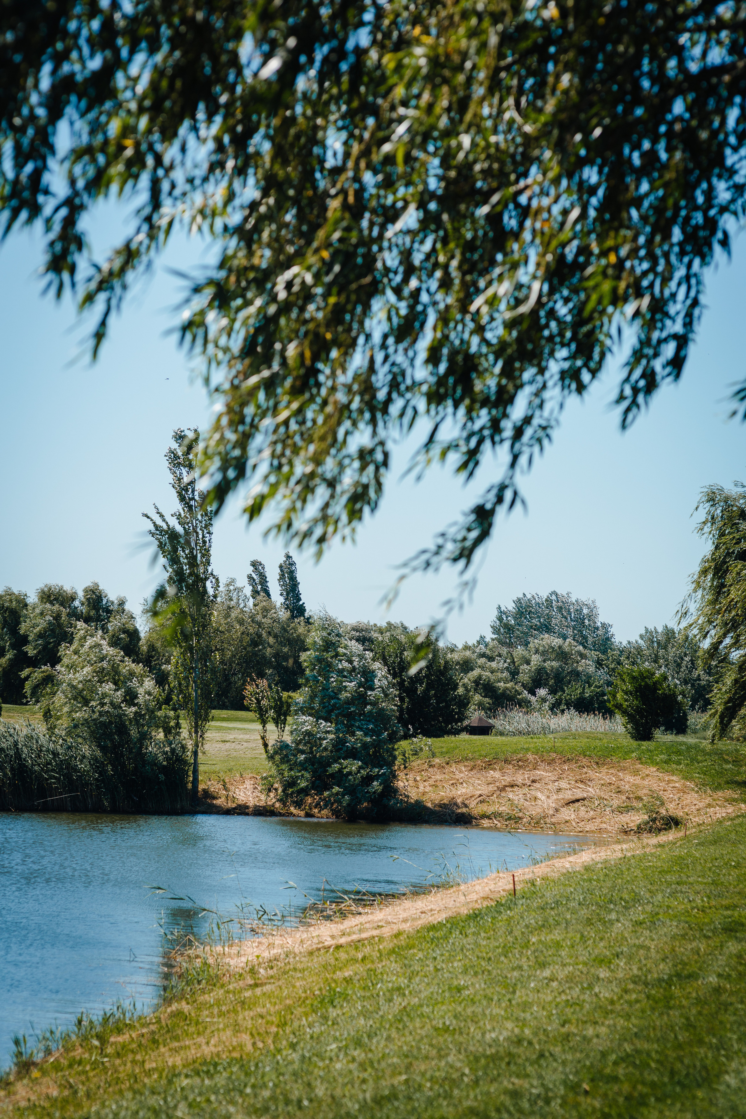 Сергей и Инна. Фотограф в Ростове-на-Дону Соколова Ксения