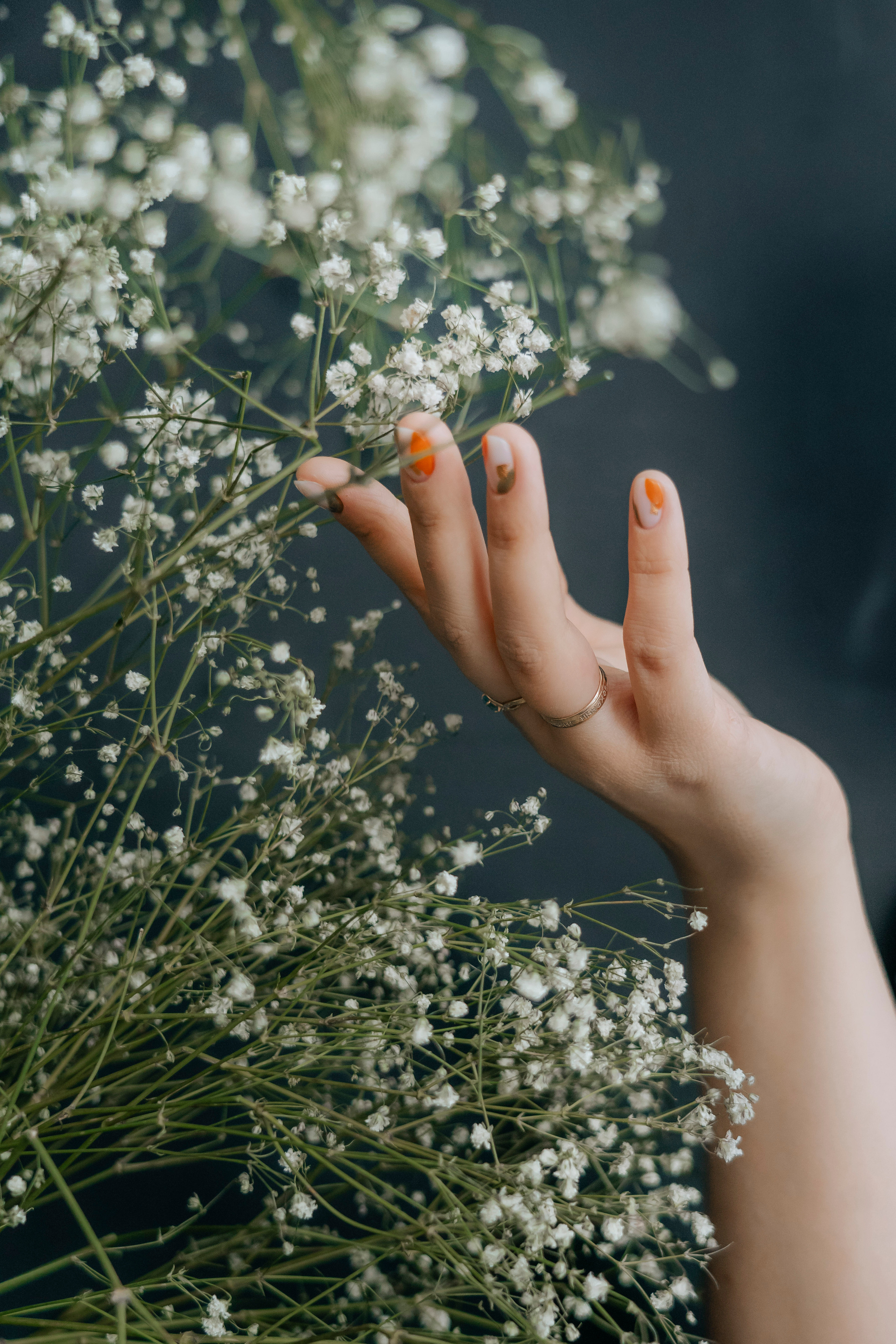 Светлана. Фотограф в Ростове-на-Дону Соколова Ксения