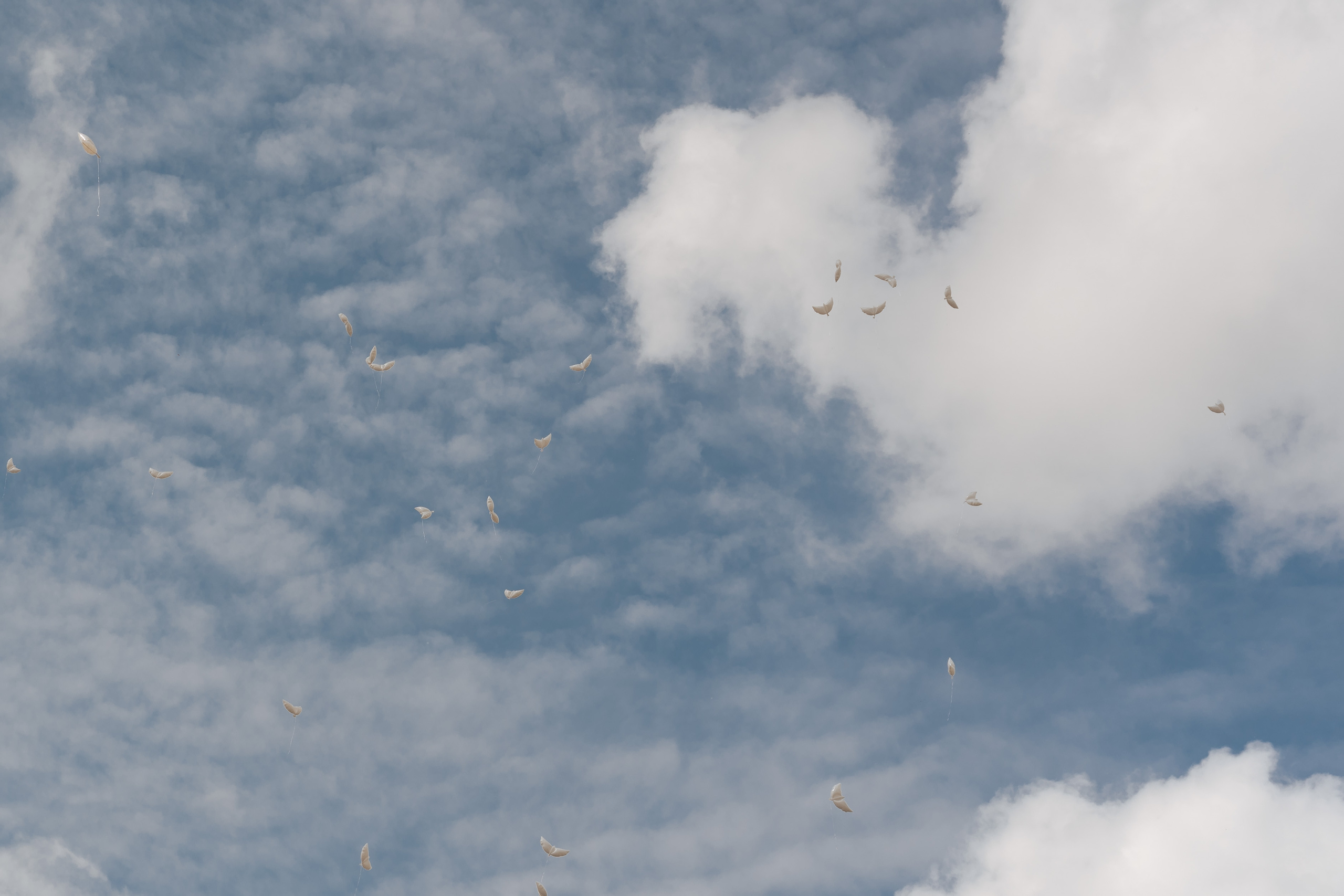 Александр, Выпускной КЭО. Фотограф в Ростове-на-Дону Соколова Ксения