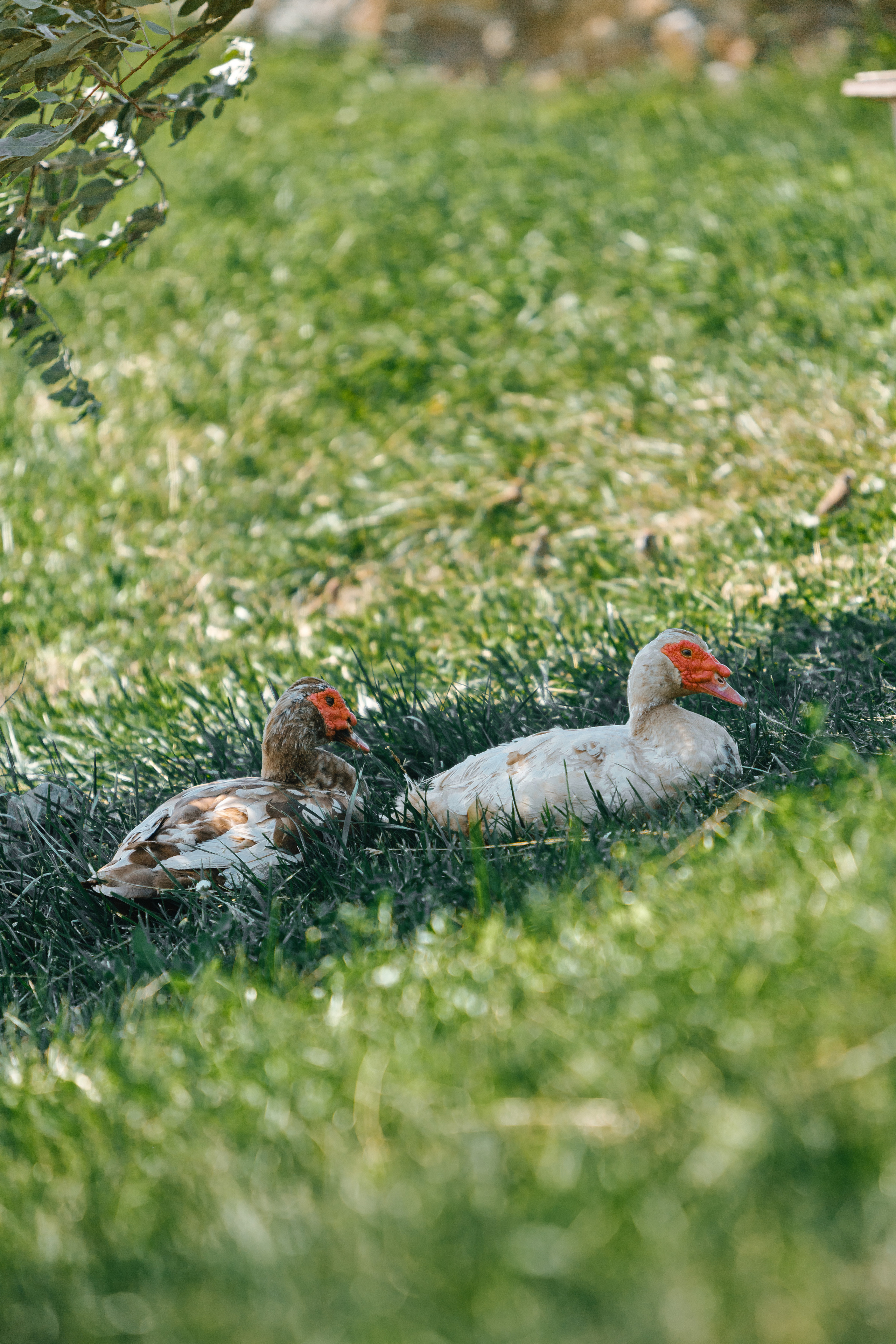 Сергей и Инна. Фотограф в Ростове-на-Дону Соколова Ксения