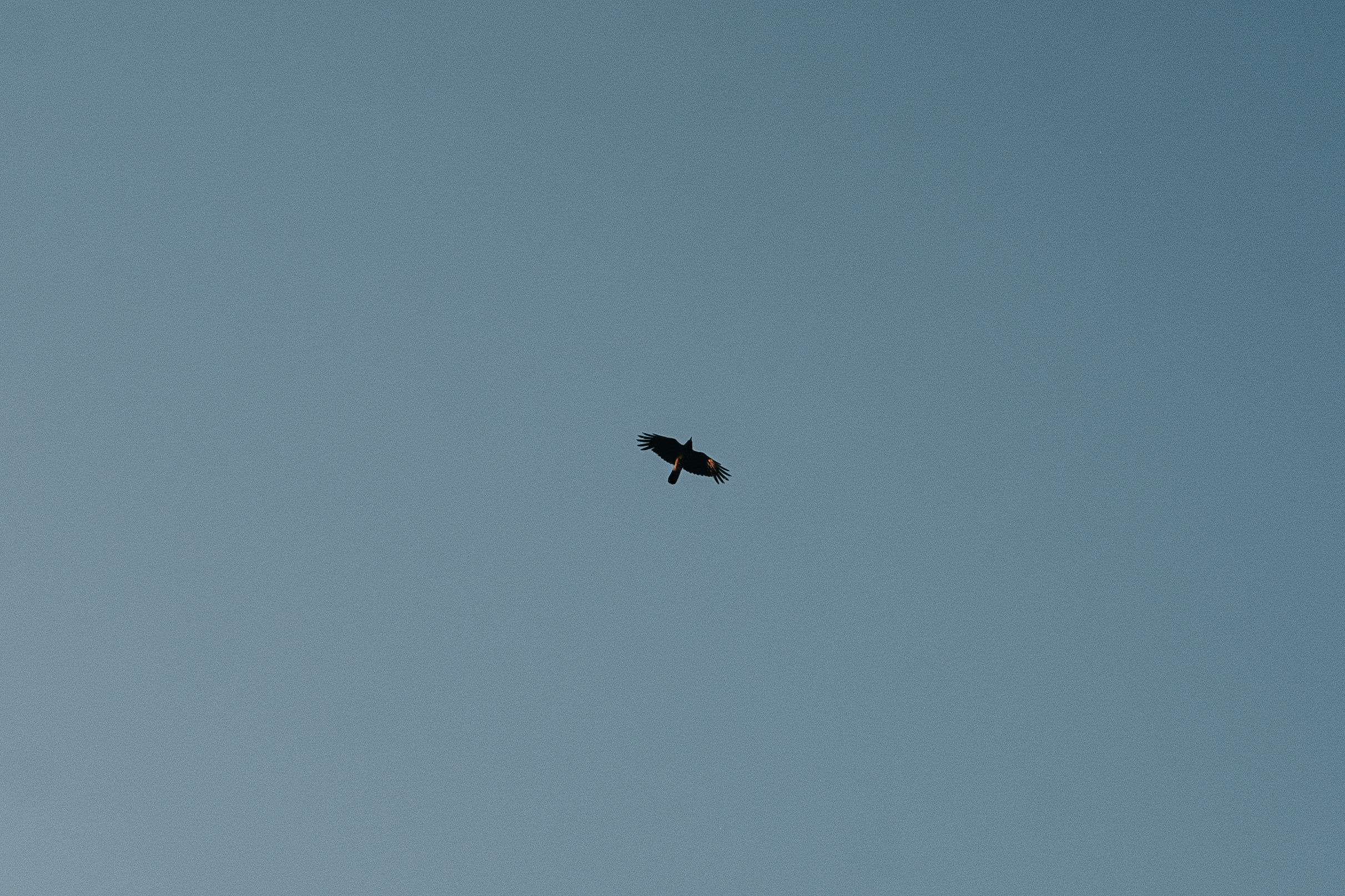 Анонсы. Фотограф в Ростове-на-Дону Соколова Ксения