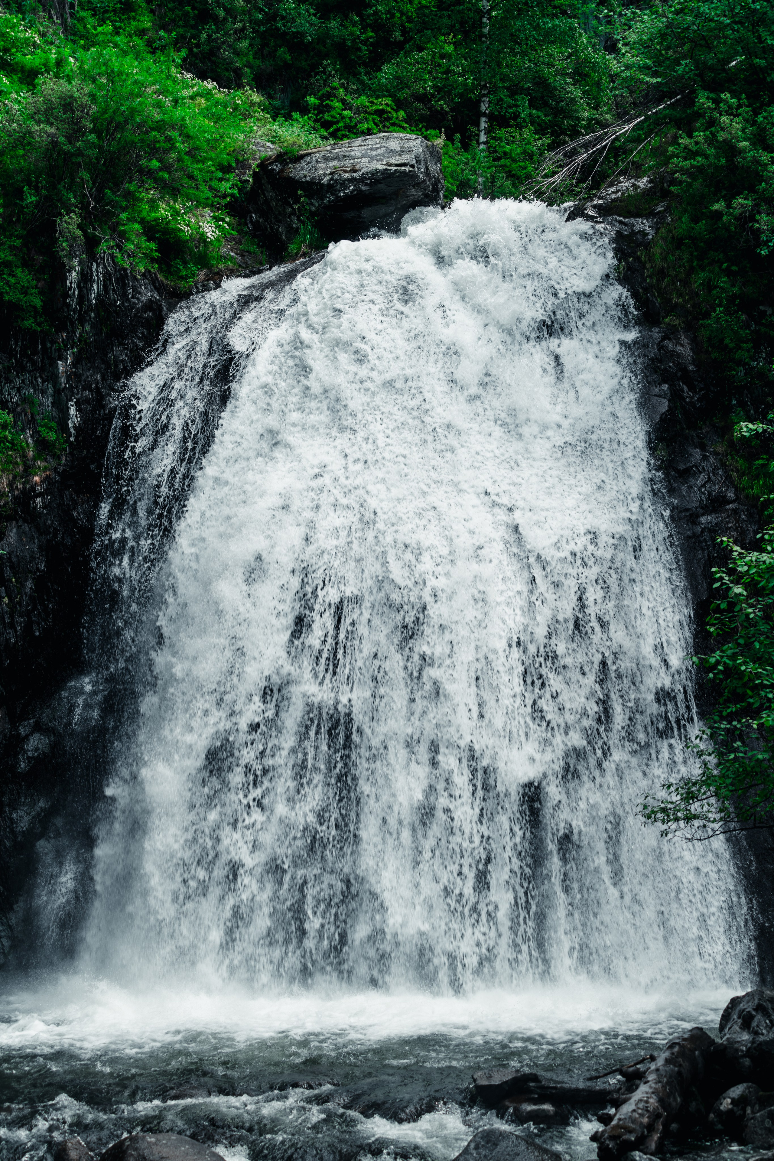 Алтай. Оператор и Фотограф в Санкт-Петербурге и Москве