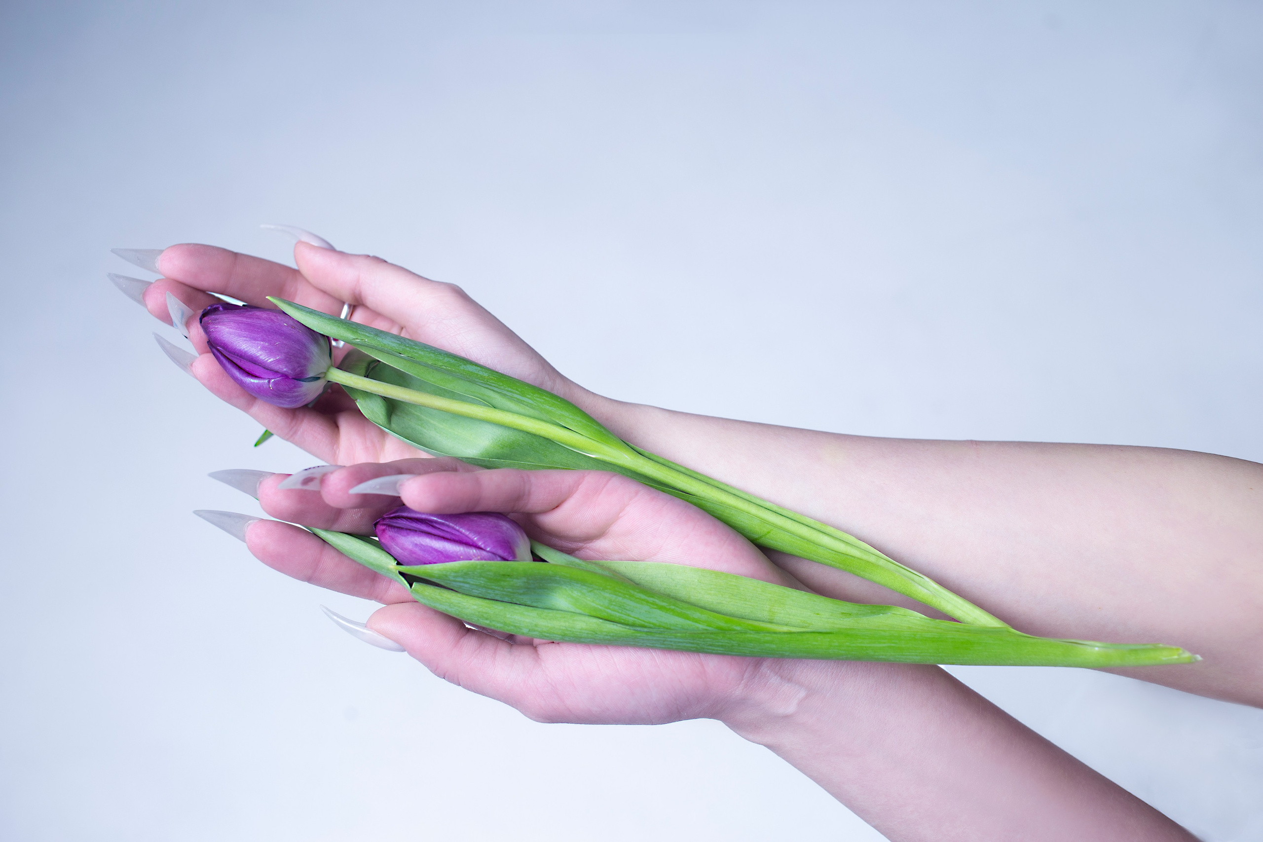 Анастасия. Анна Акоста: фотограф в Санкт-Петербурге и Таганроге