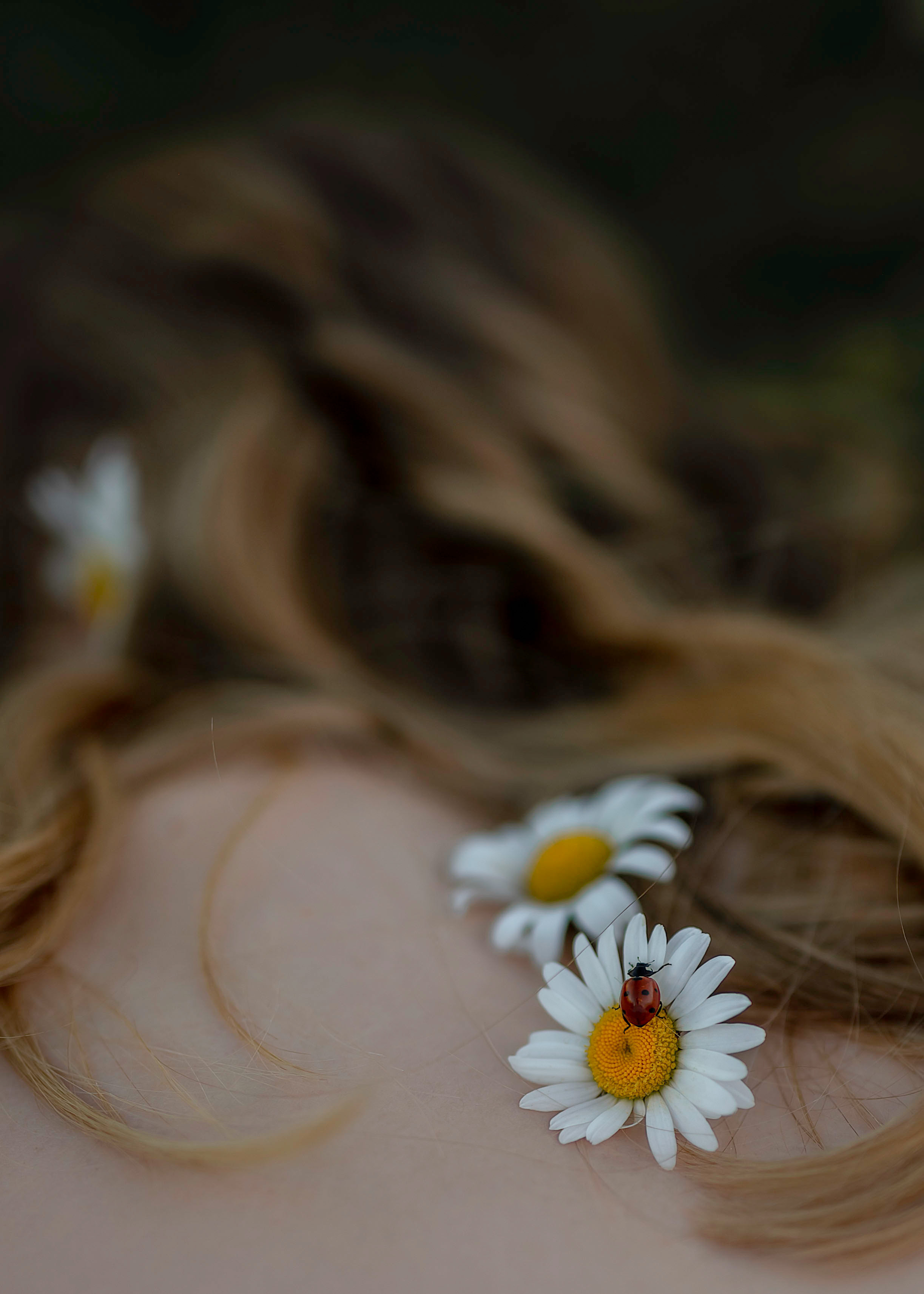 Настя —летняя фотосессия. Фотограф в Москве