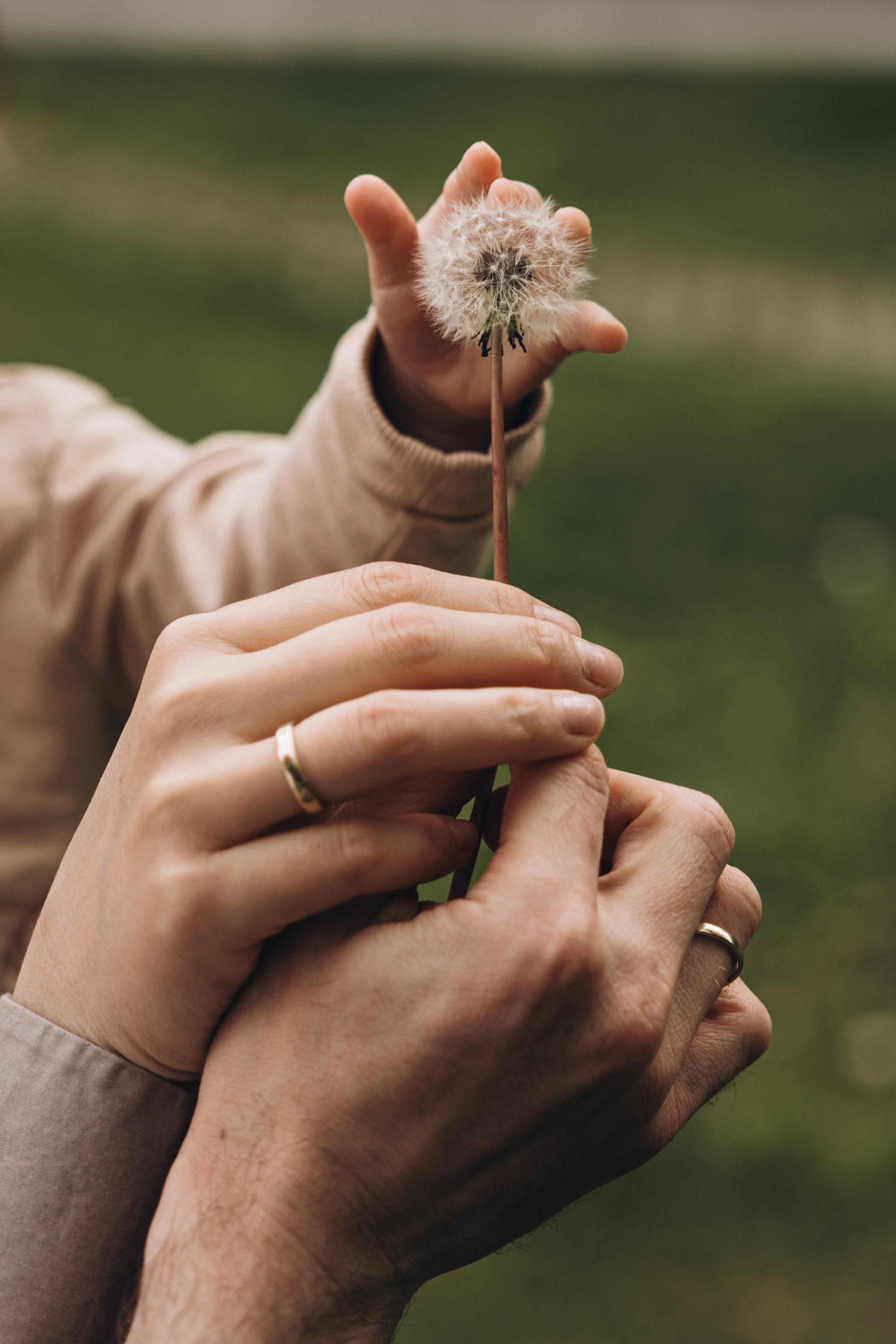 Вера, Андрей и Ева. Майорова Валерия Фотограф Ставрополь