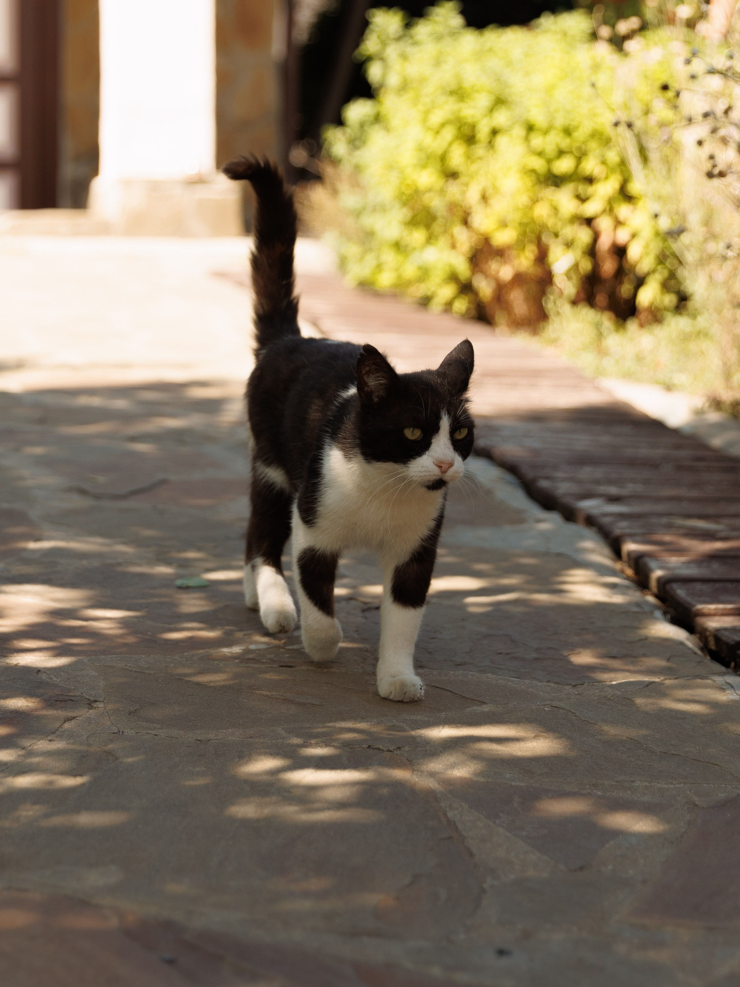 Артем и Анастасия. Фотограф