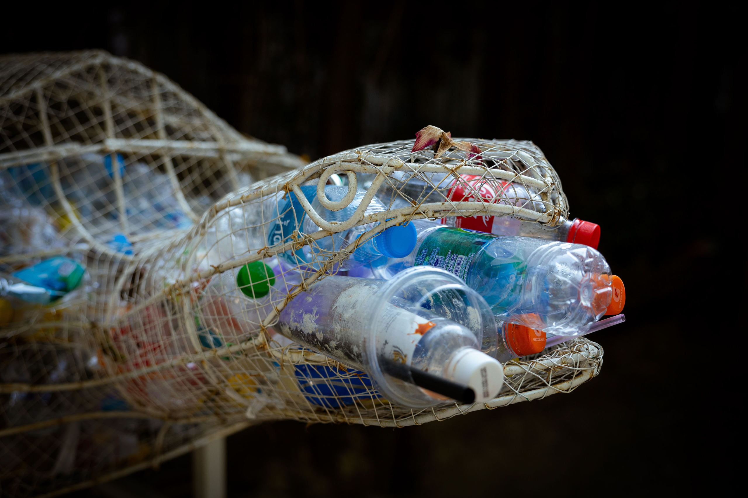 Таиланд (зима 2025). Фотограф Виноградов Константин