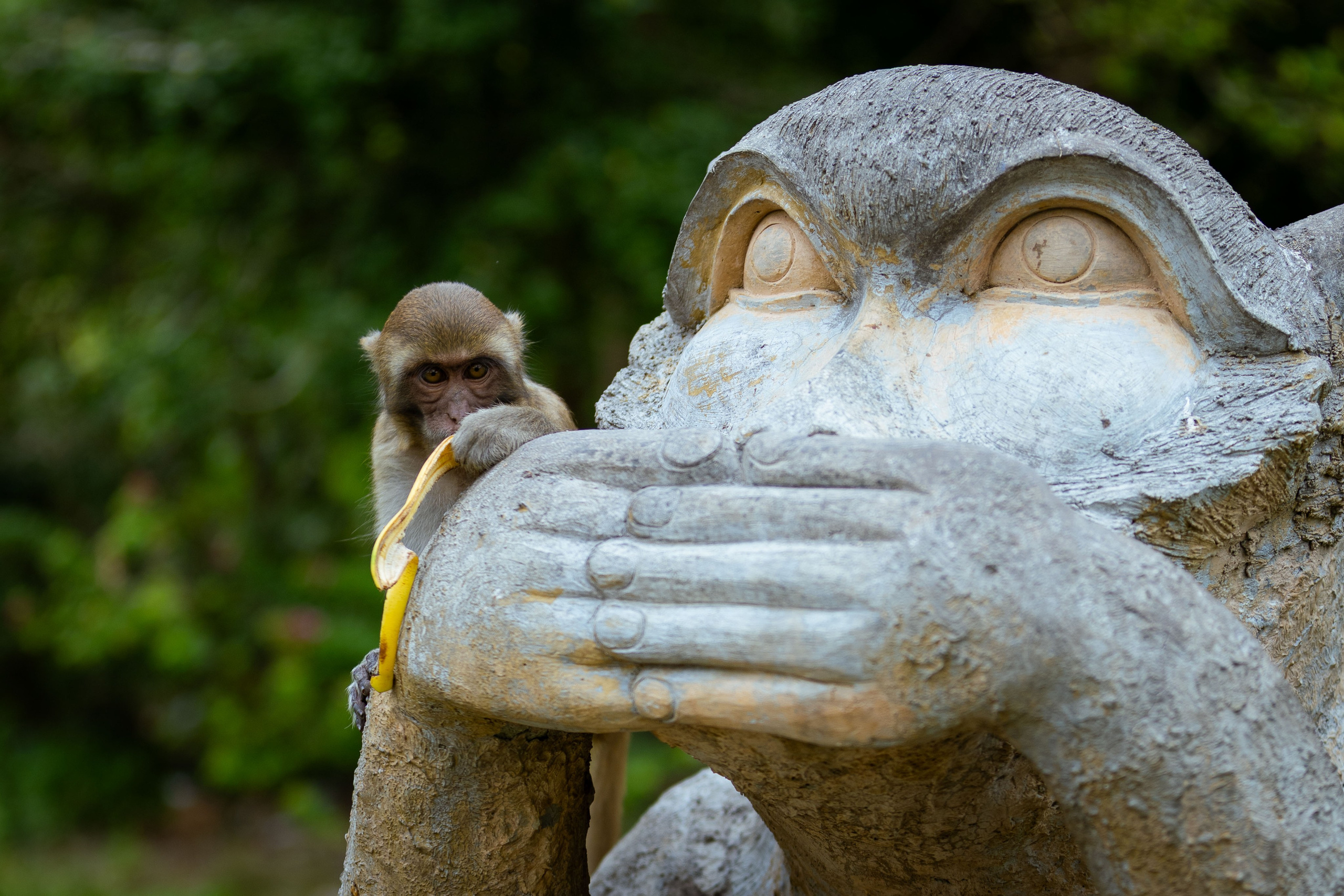 Вьетнам (зима 2025-2026). Фотограф Виноградов Константин