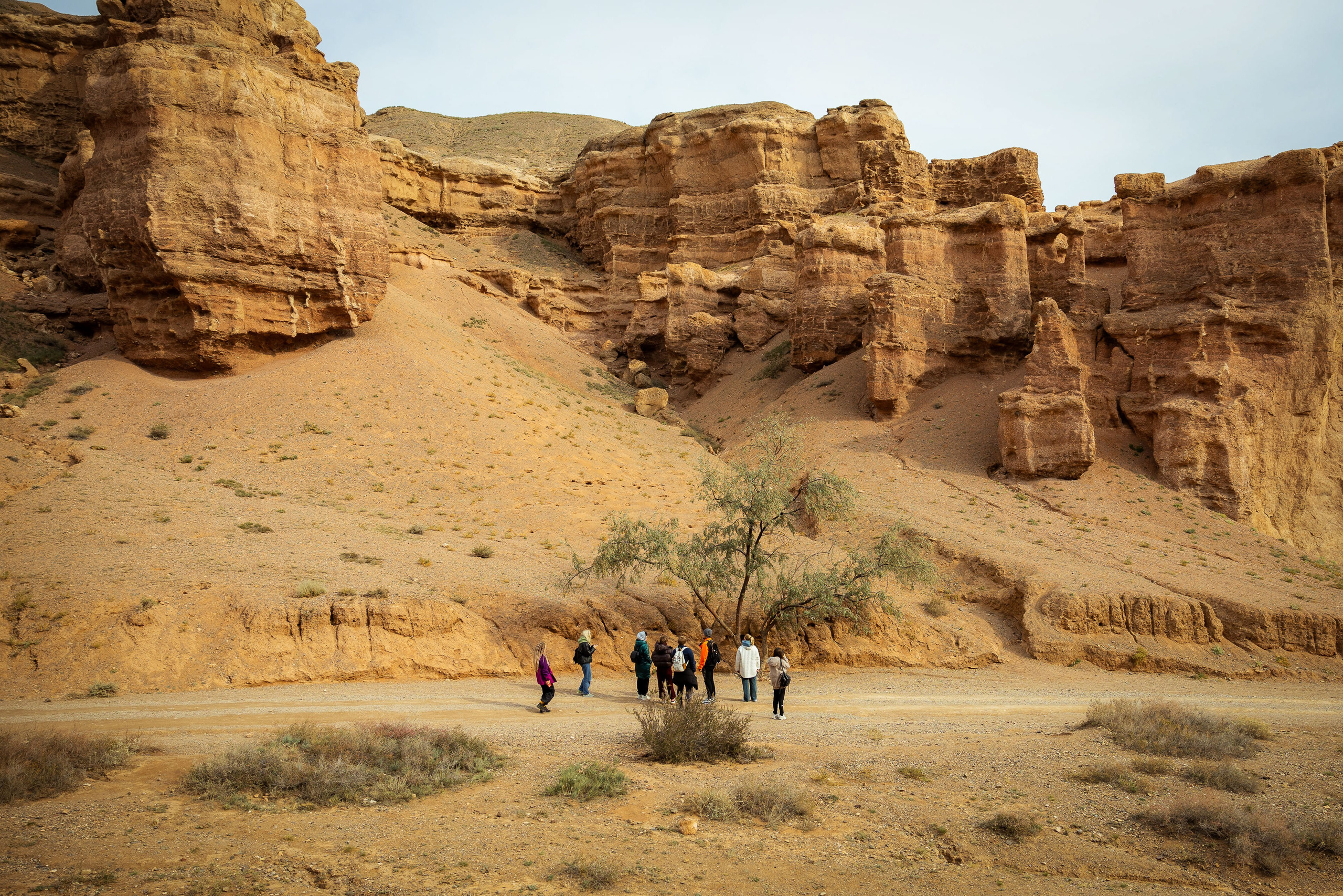 Казахстан (осень 2024). Фотограф Виноградов Константин