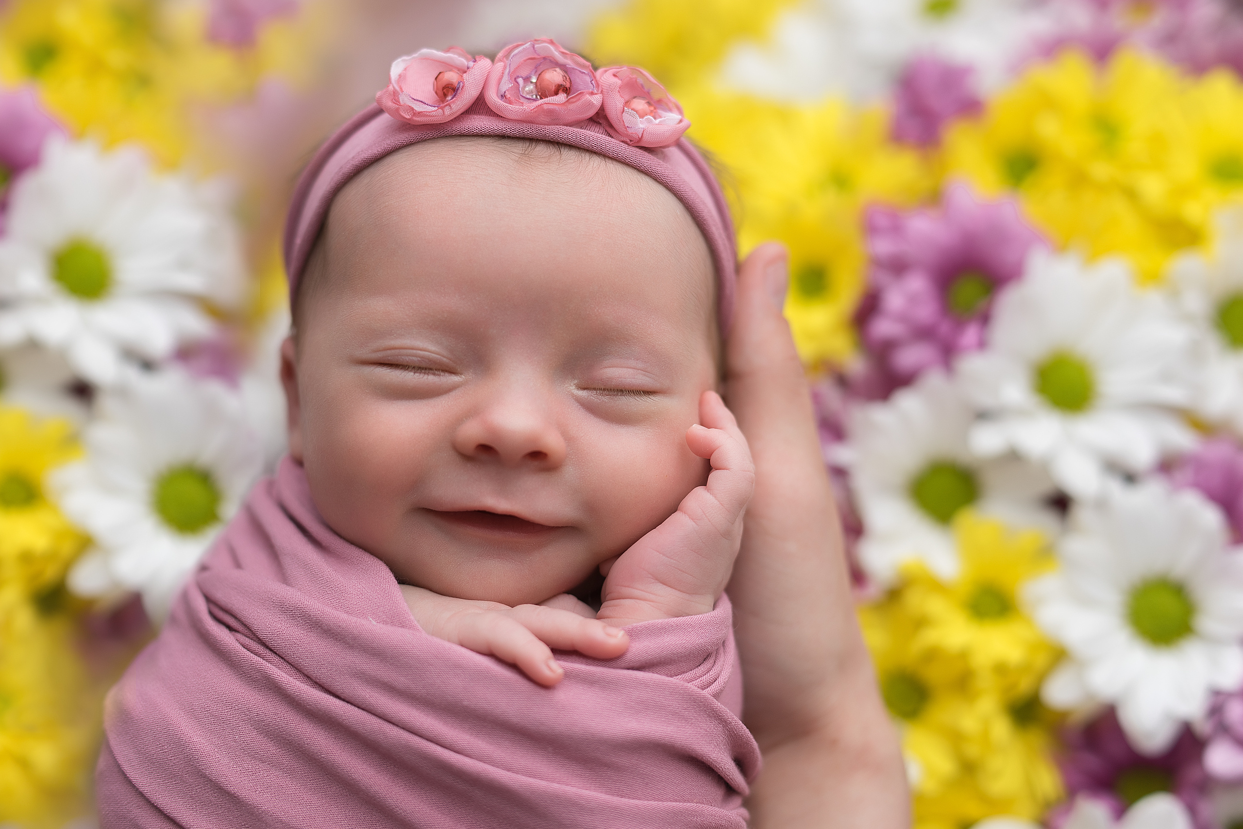 Новорожденные. Фотограф в Новосибирске