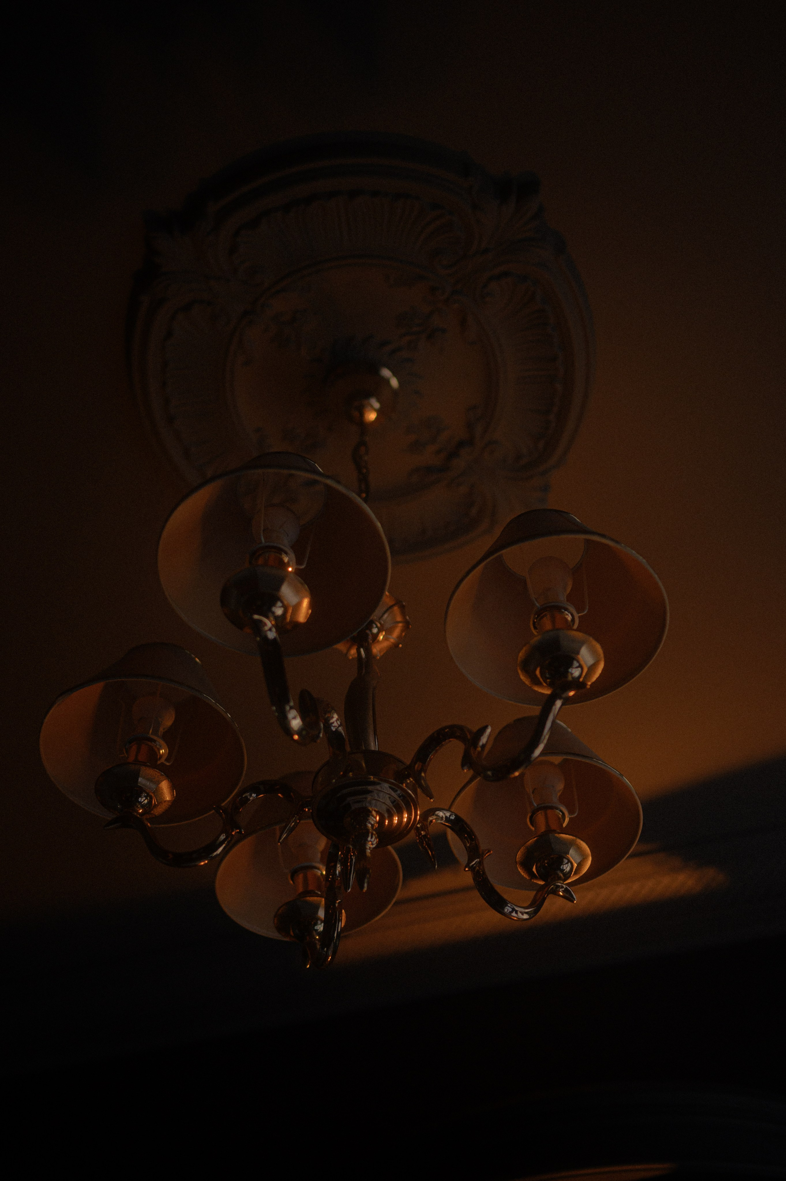 Смеркалось. Семейный, свадебный и репортажный фотограф в Москве Анастасия Светлова