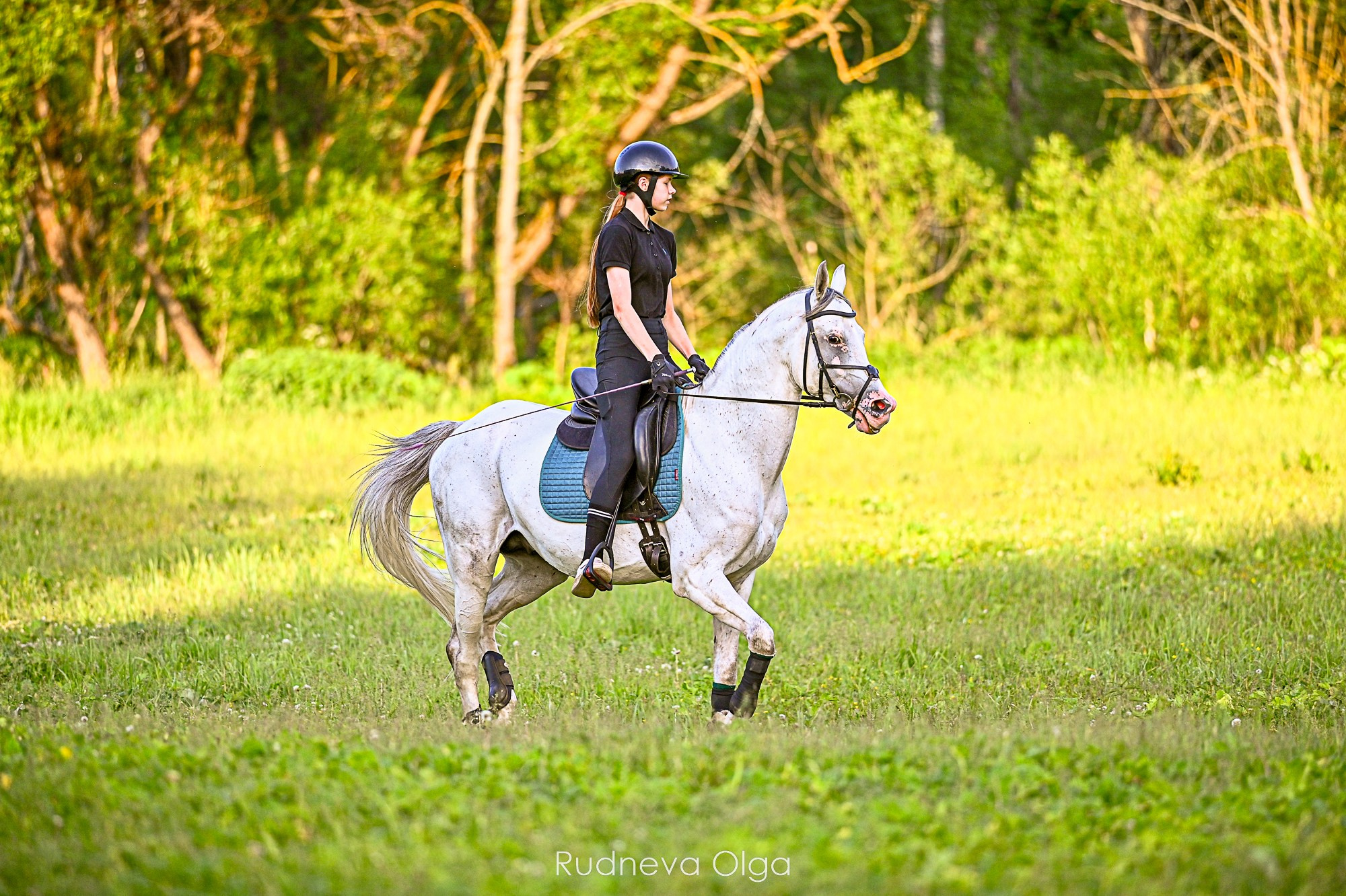 Тренировка КСК Сынково. ТУРНИРНАЯ КОННАЯ ФОТОГРАФИЯ, Руднева Ольга и Евгений Адеев