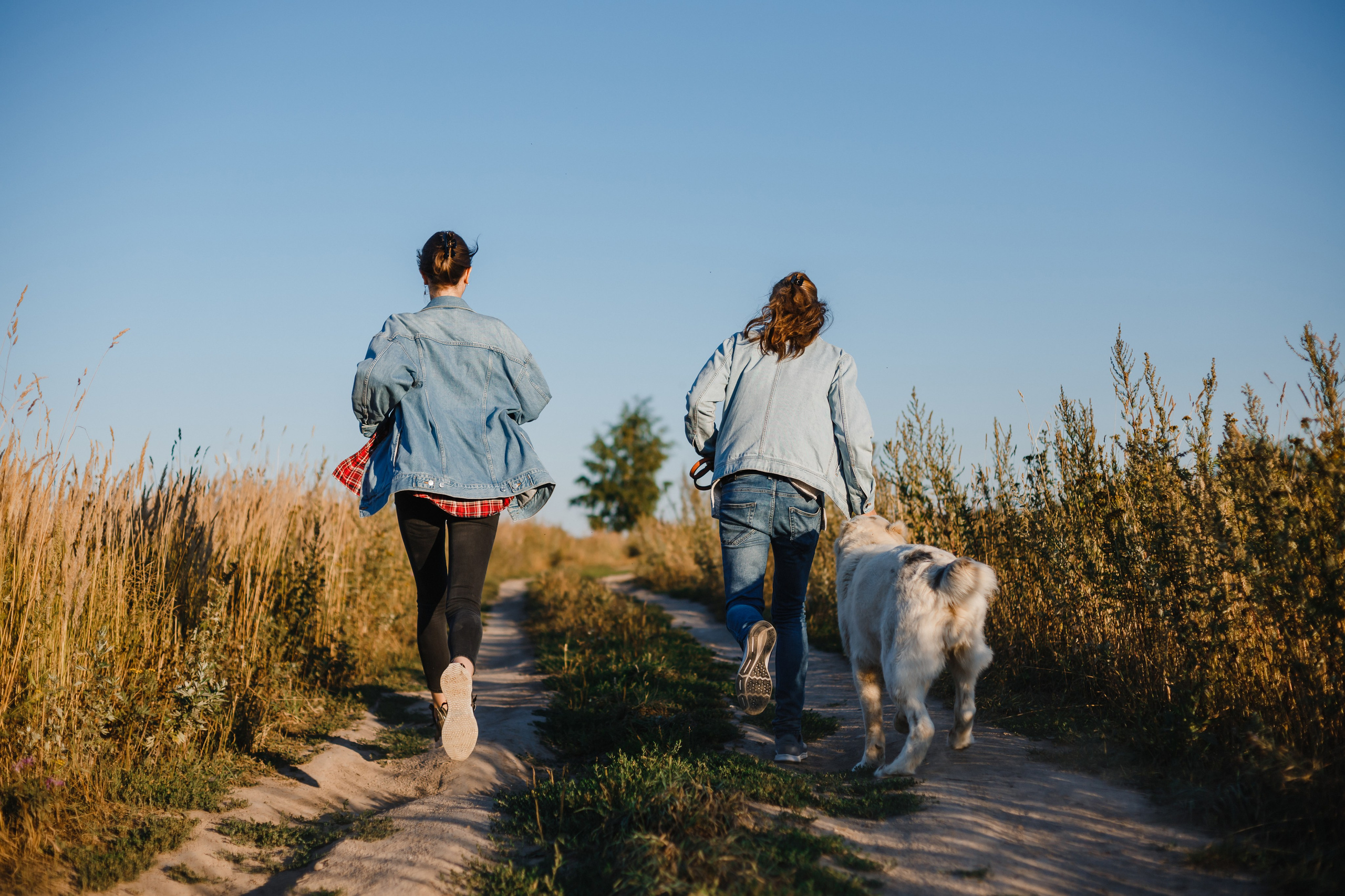 Олег, Женя, Берта. Семейный фотограф Николаева Ольга