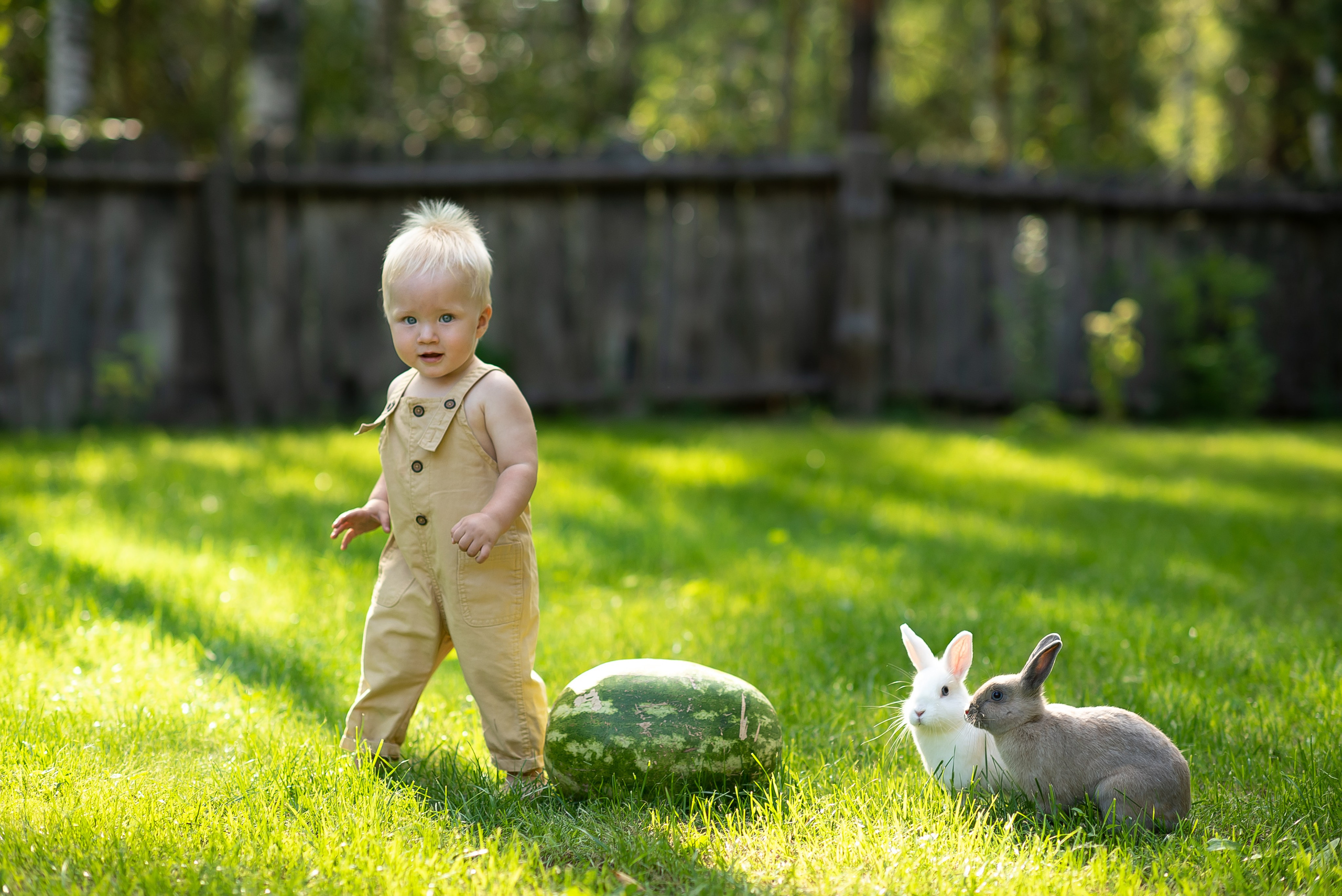 Фотостудия Лес Чудес. Фотограф Мария Усманова, Казань