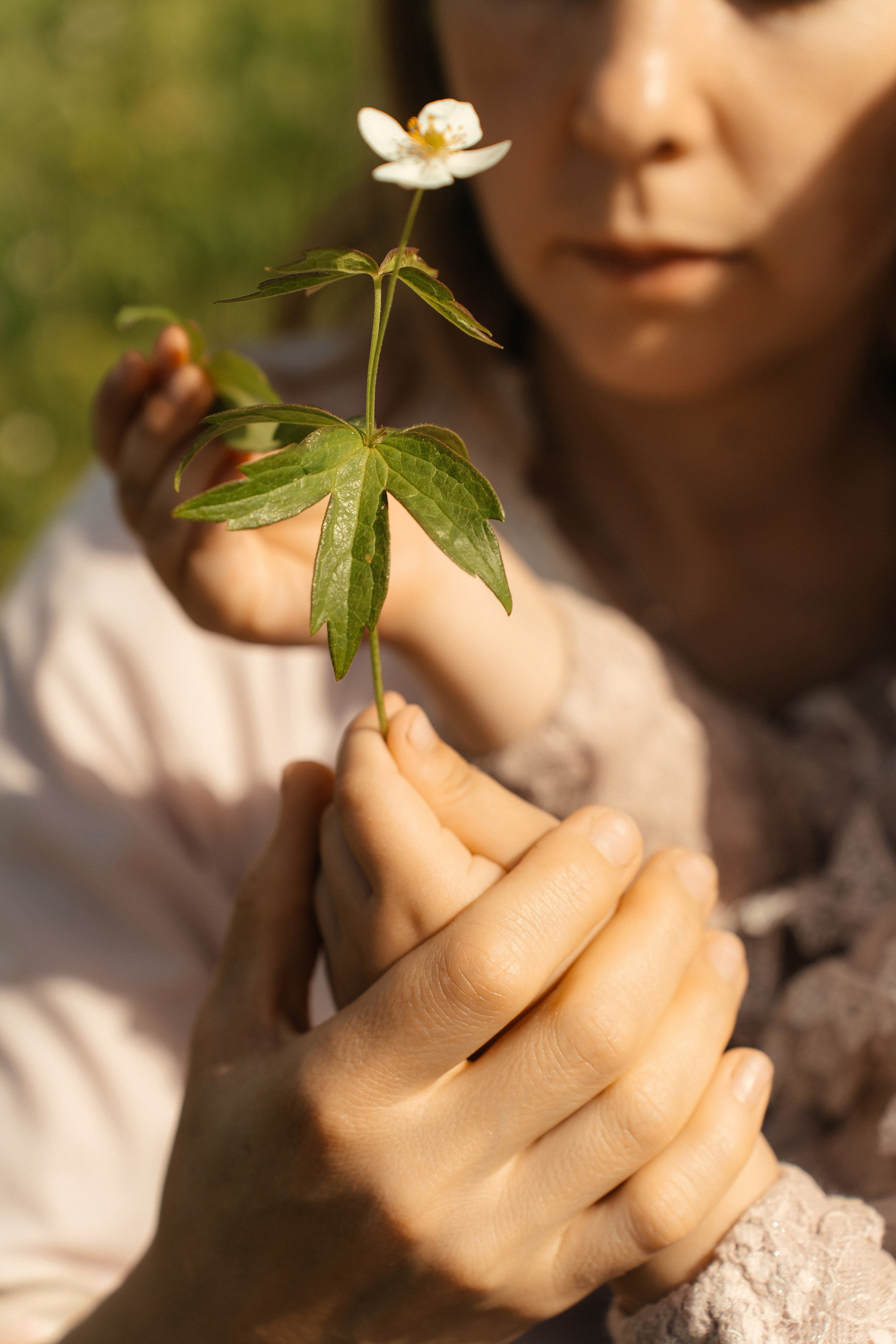 Пикник. Лайфстайл фотограф в Ханты-Мансийске Мария Шишкина