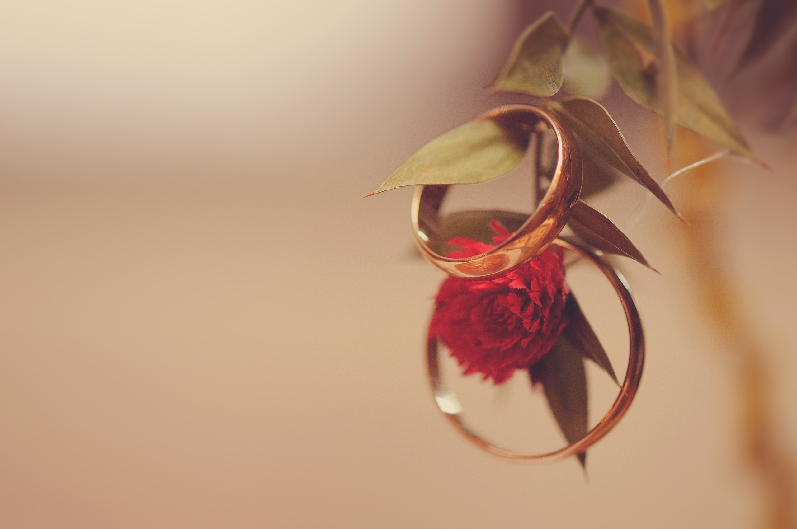 Репортажный и свадебный фотограф в Курске Борис Захарчук