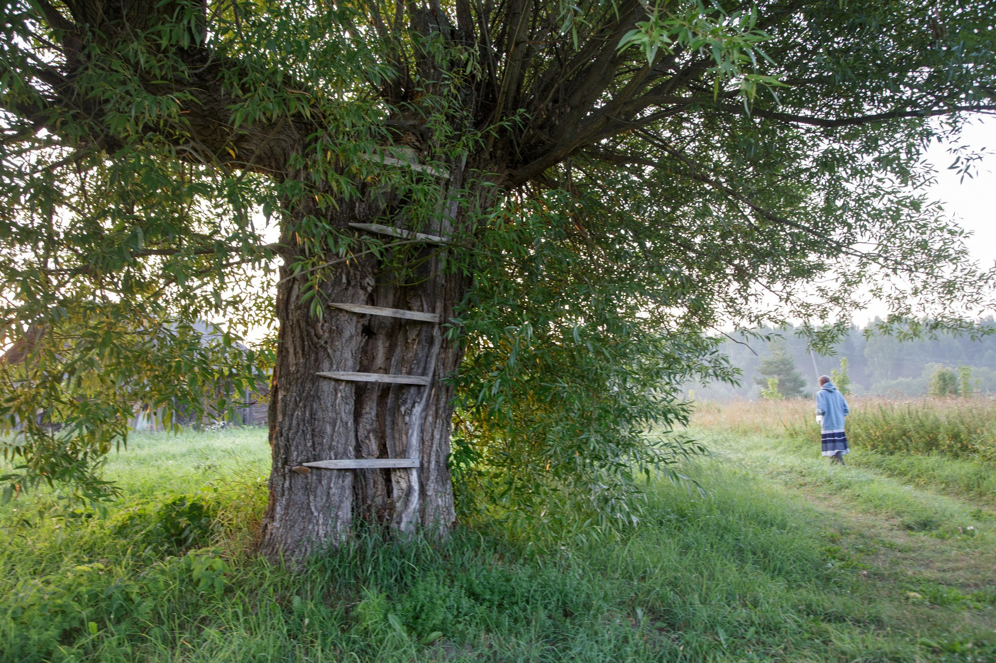 Нить Паулино. Фотограф Юлия Близнецова