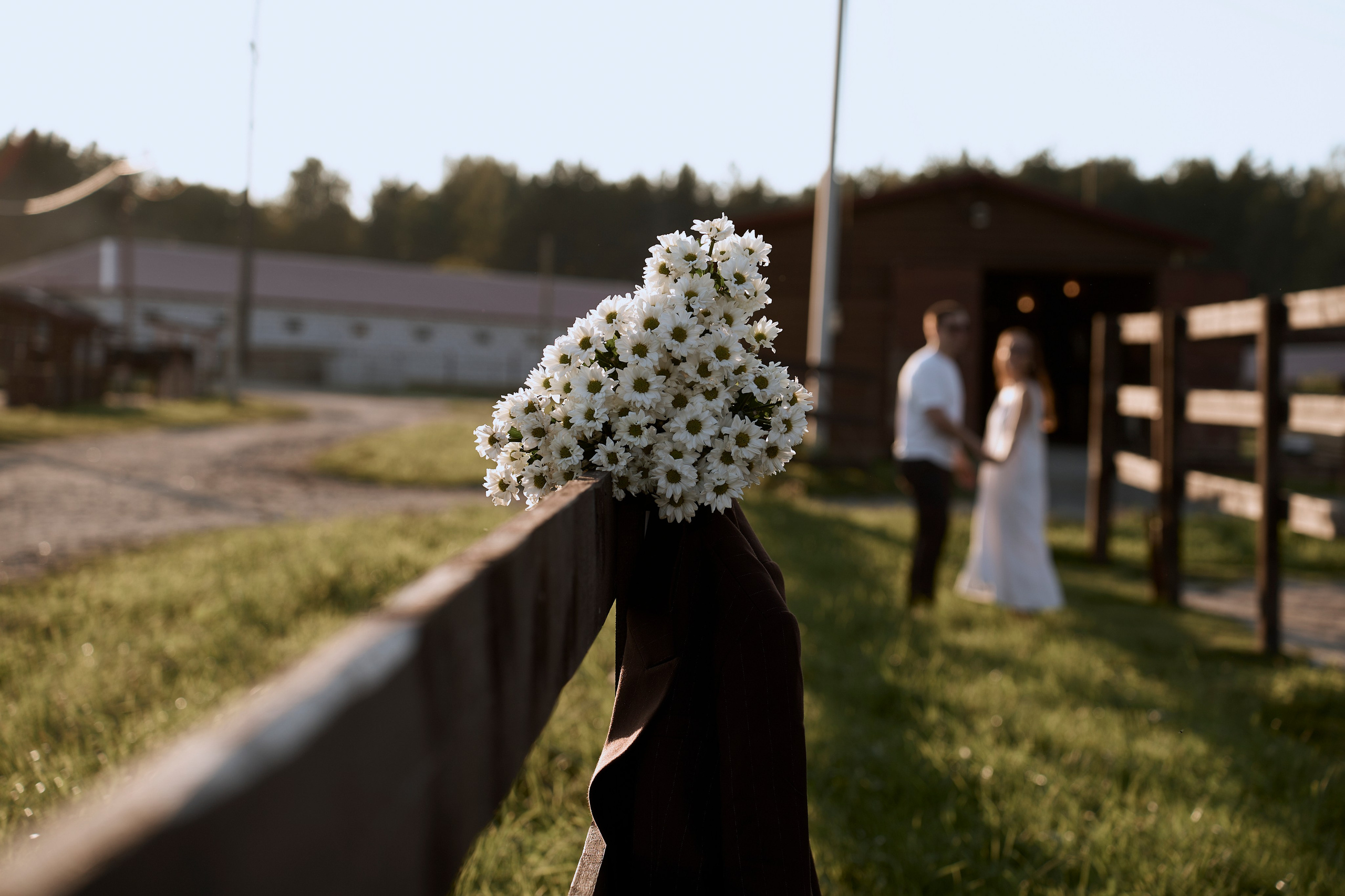 В лучах лета. Ваш фотограф Анастасия Болотникова