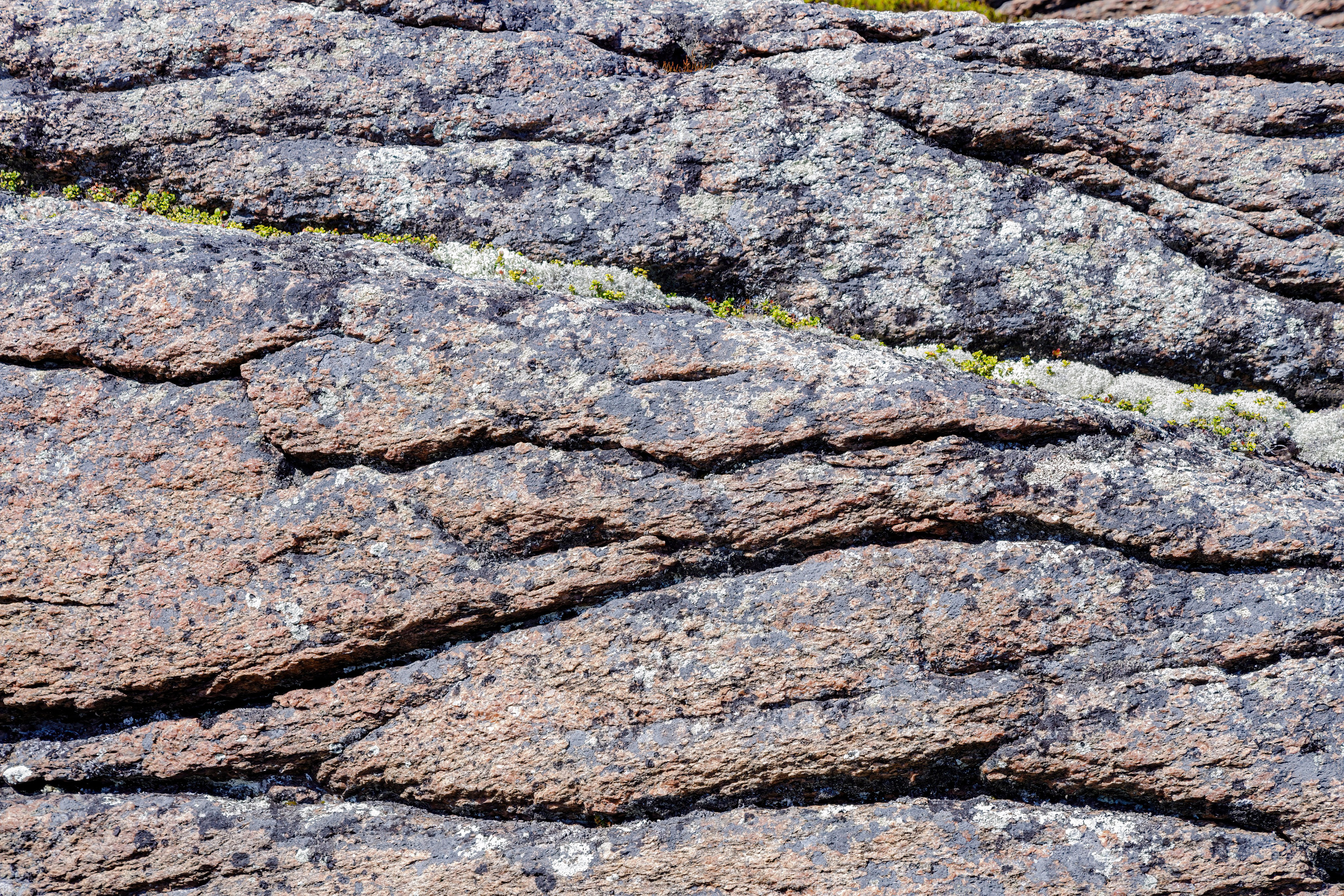 Архипелаг Кузова (ландшафтный заказник). Аэросъемка. Фото и Видео в Карелии. Алексей Фрилунд