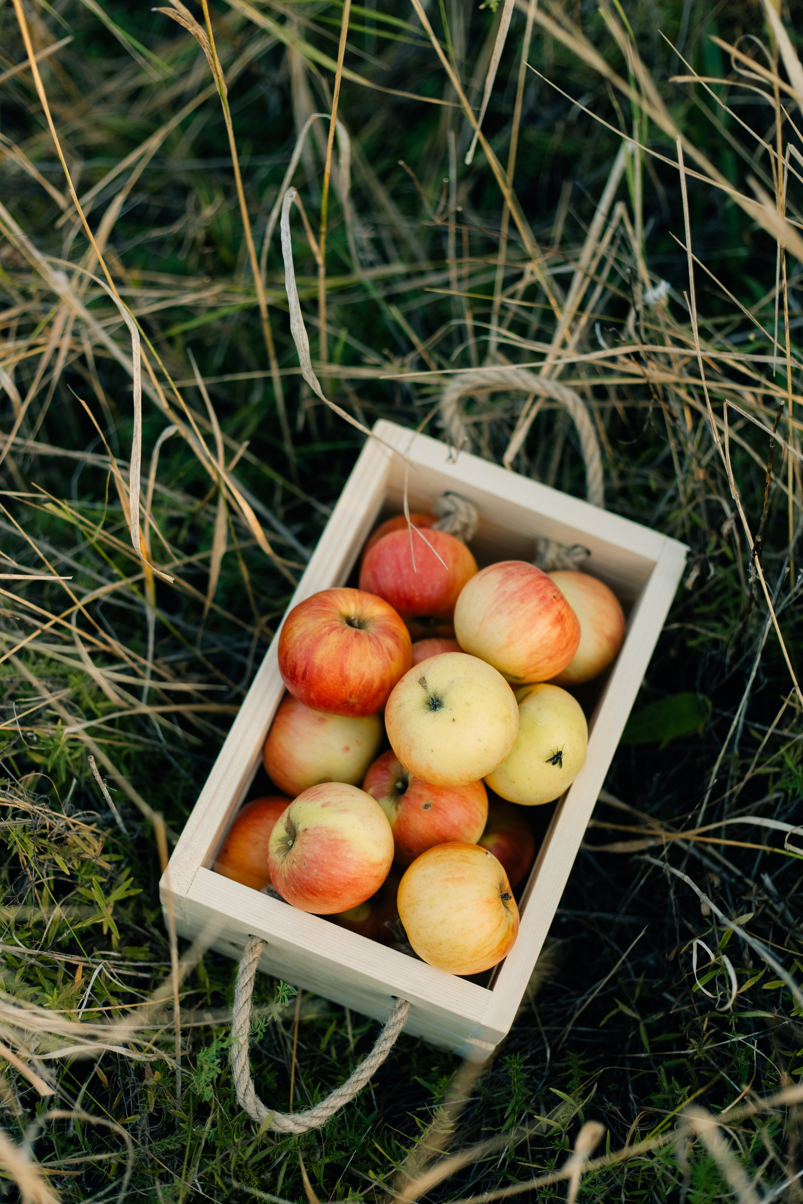 Фотограф Тихорецк. Свадебный и семейный фотограф в Краснодарском крае Мария Данилкина