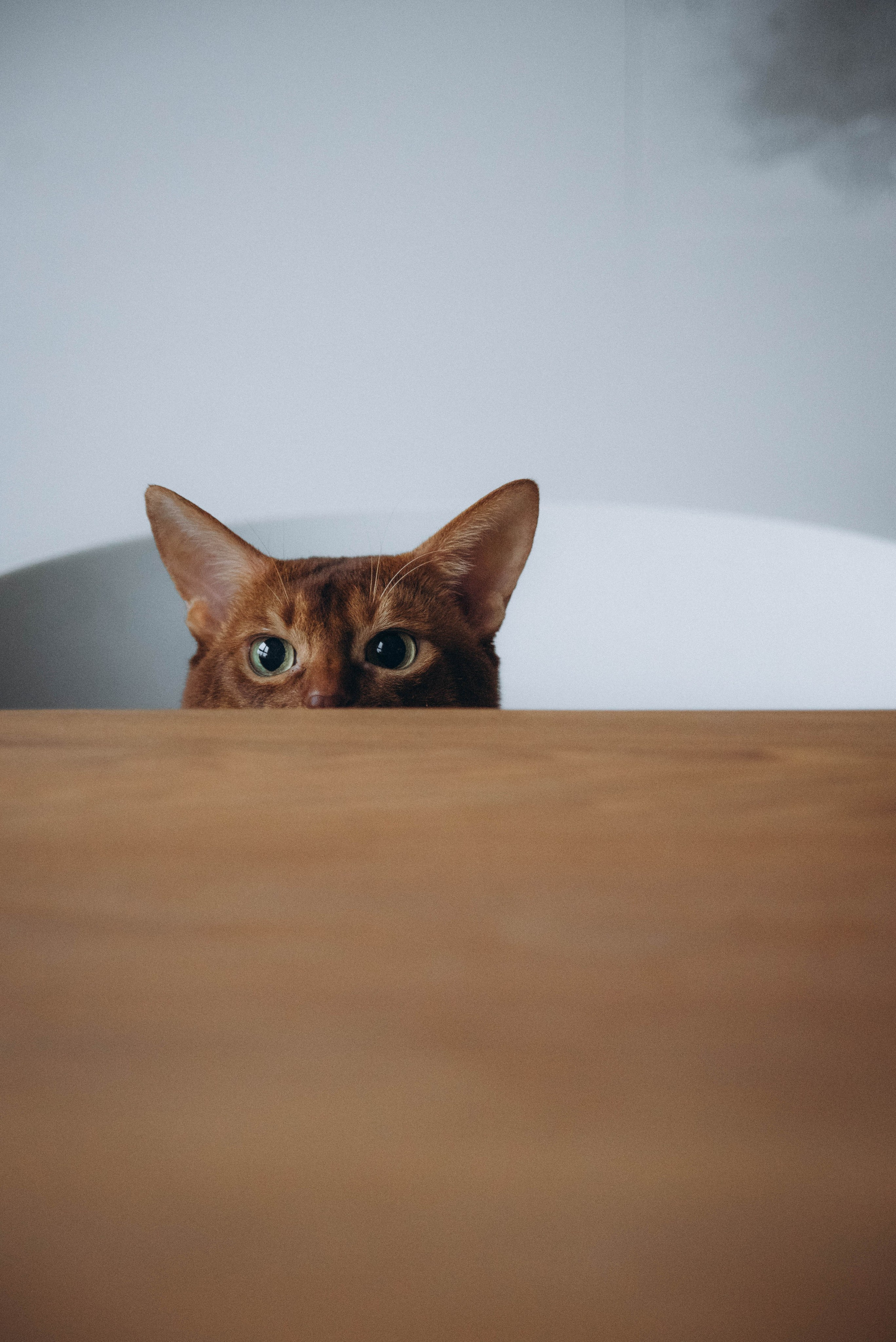 Малышка. Леся Власова. Семейный Lifestyle фотограф в Москве