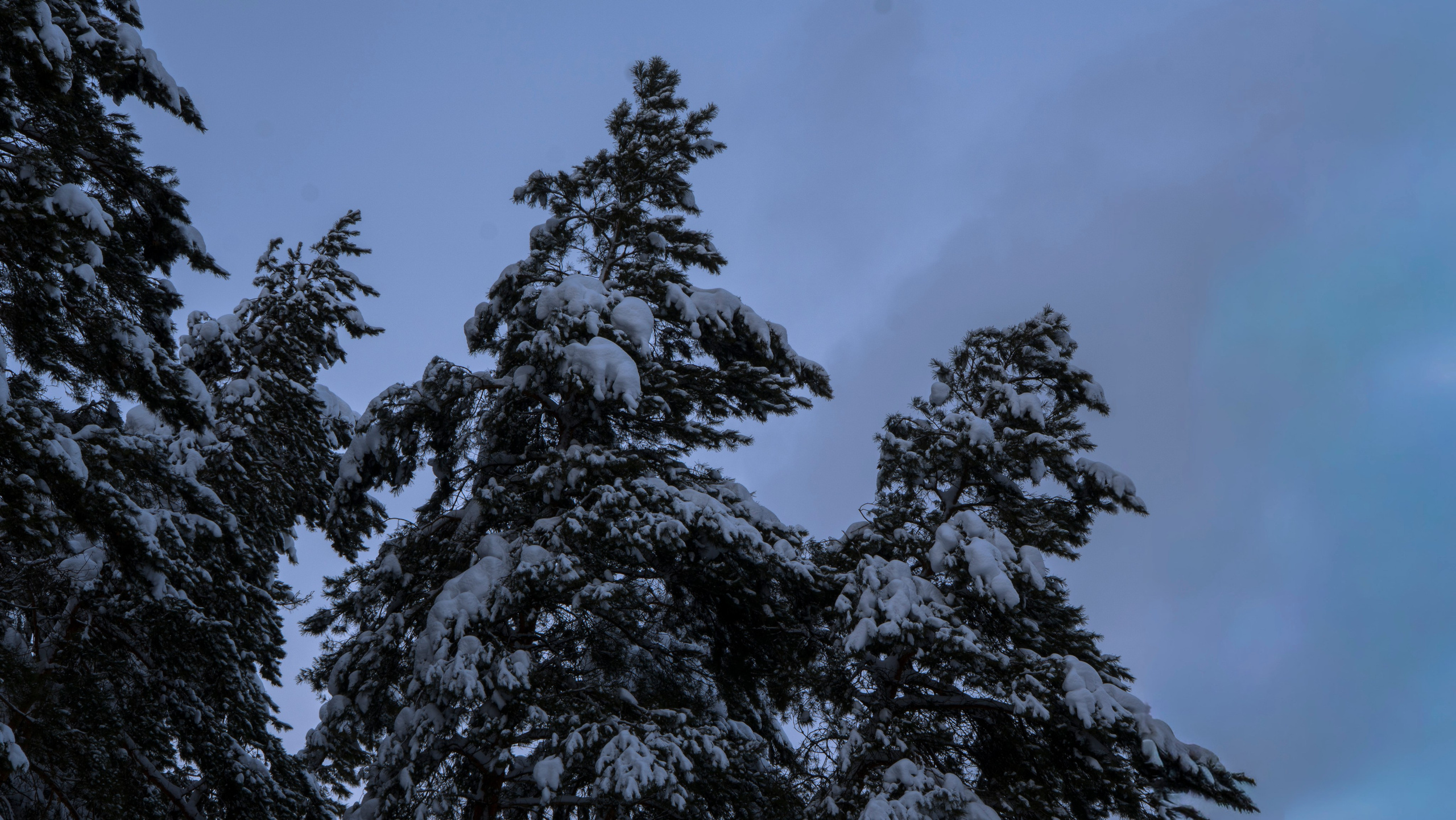Пейзаж сельский. Портретный фотограф в Санкт-Петербурге Максим Чуликов