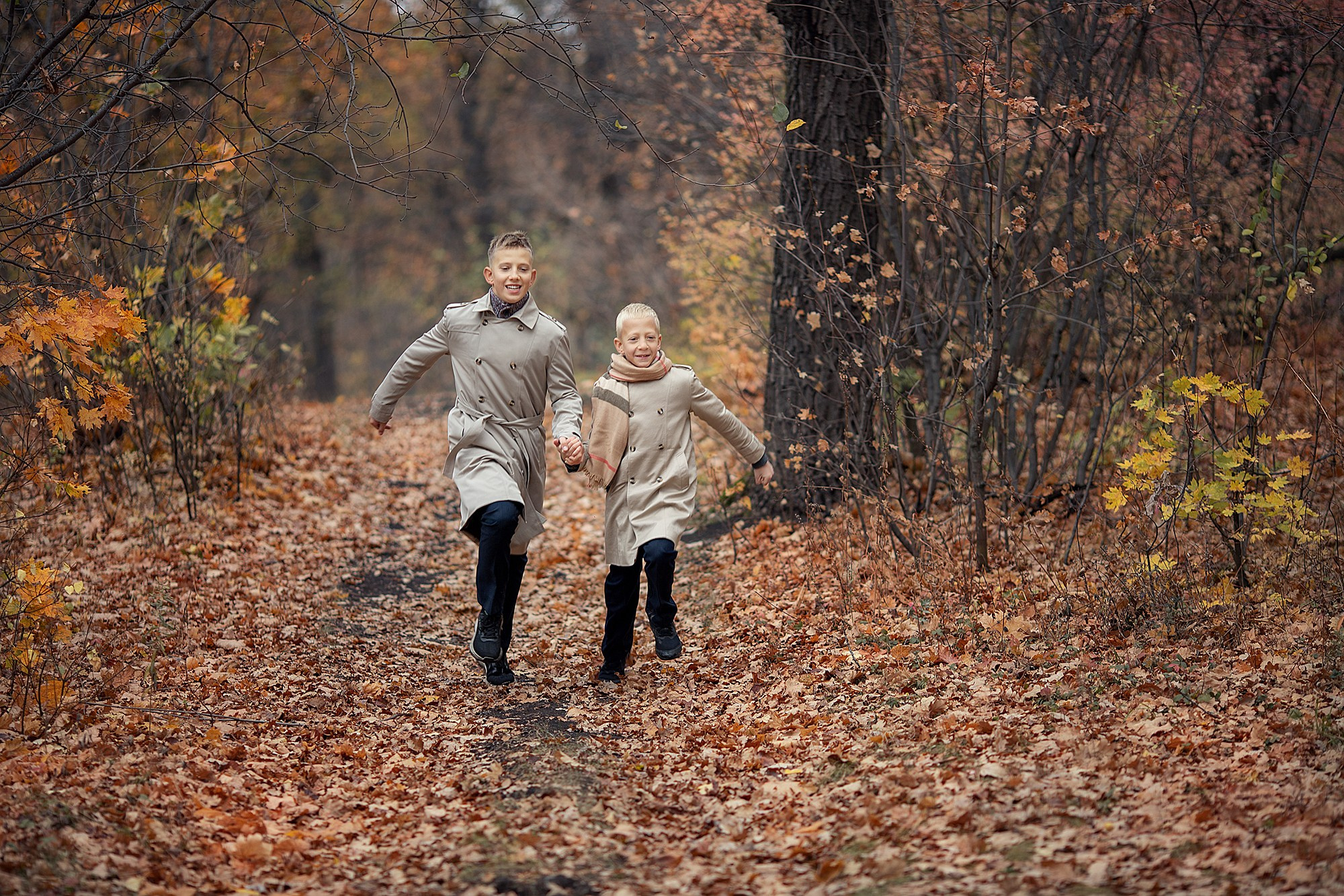 Яркая осень. Фотограф Александр Солнечный