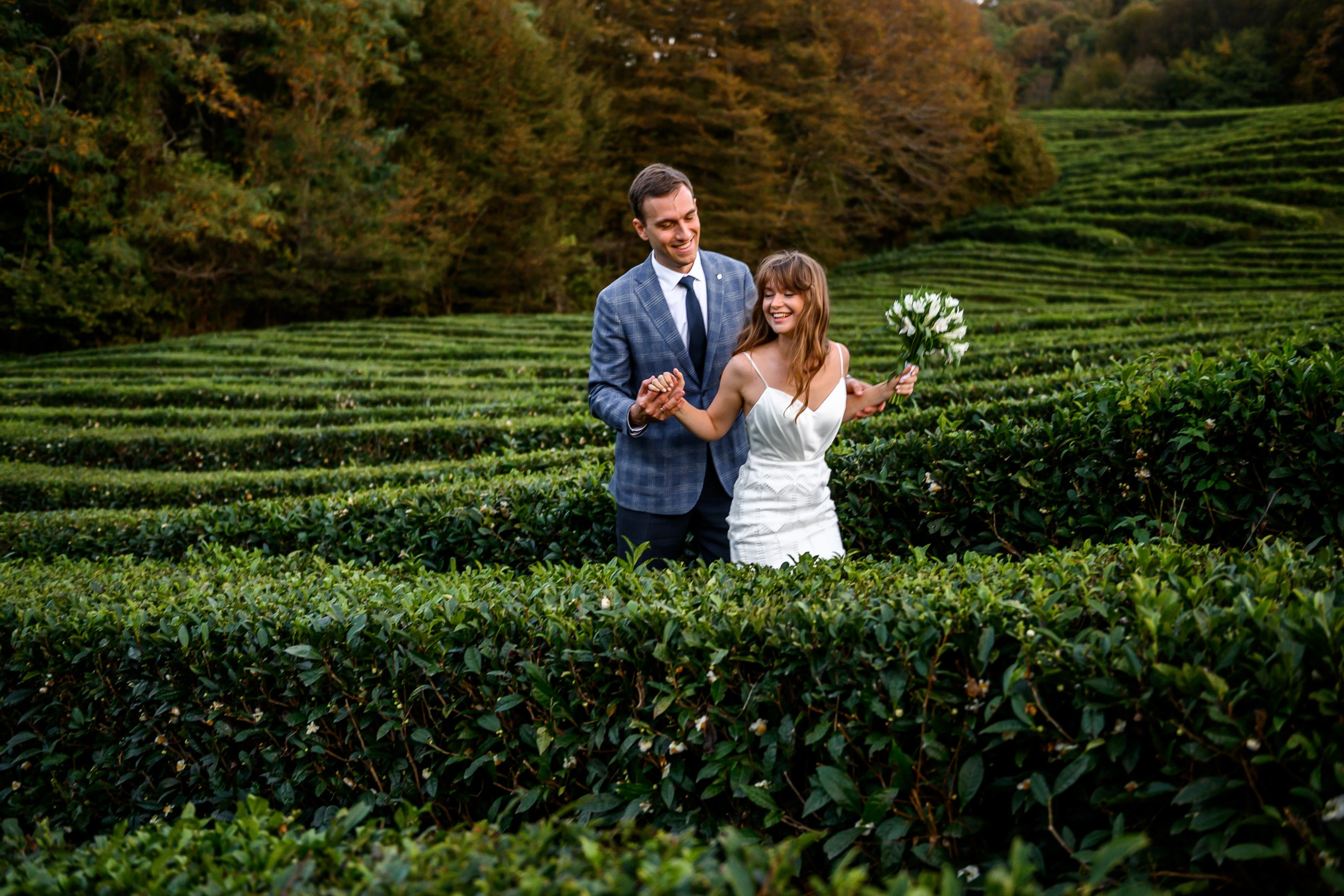 Чайные плантации. Олег и Светлана. Свадебный и семейный фотограф София Невская