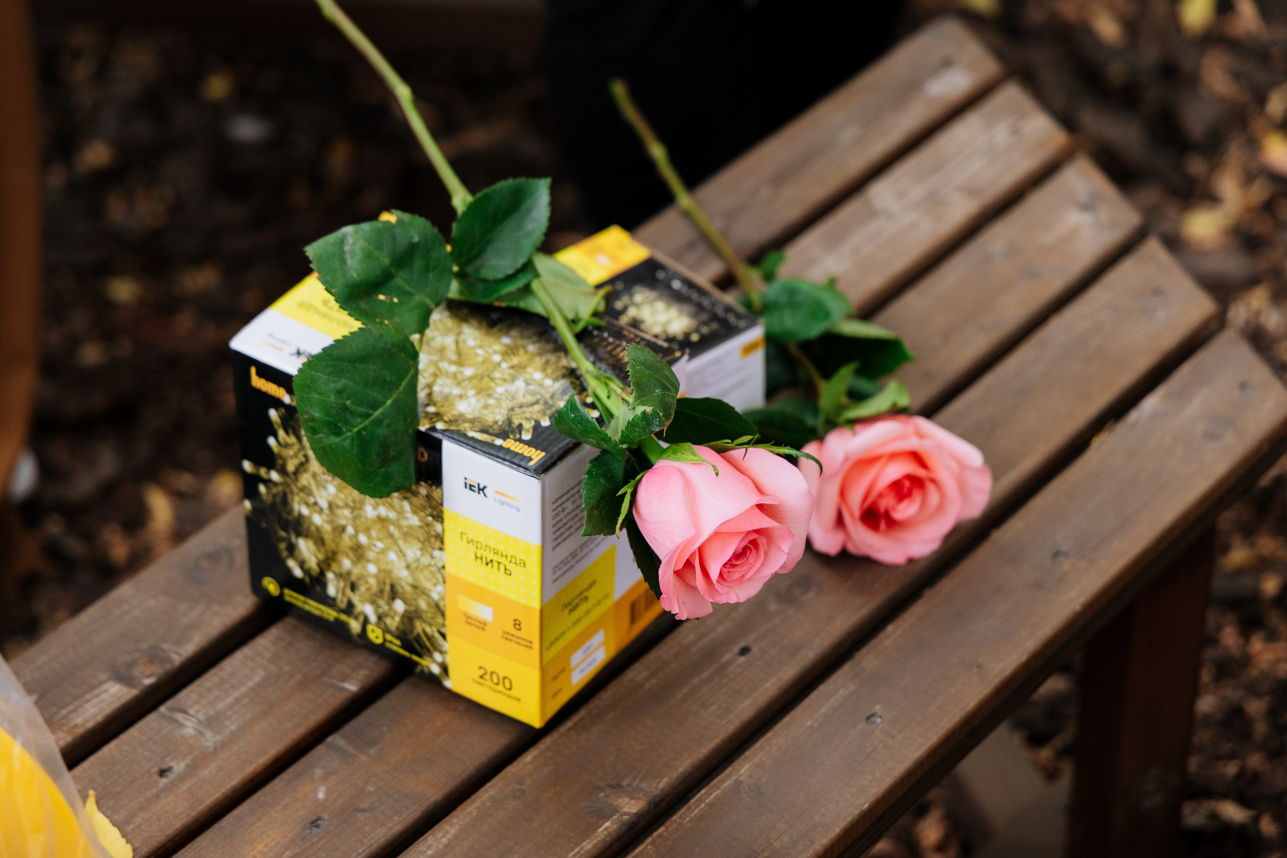 Всем свет. Свадебный и репортажный фотограф в Омске. Червоткин Никита