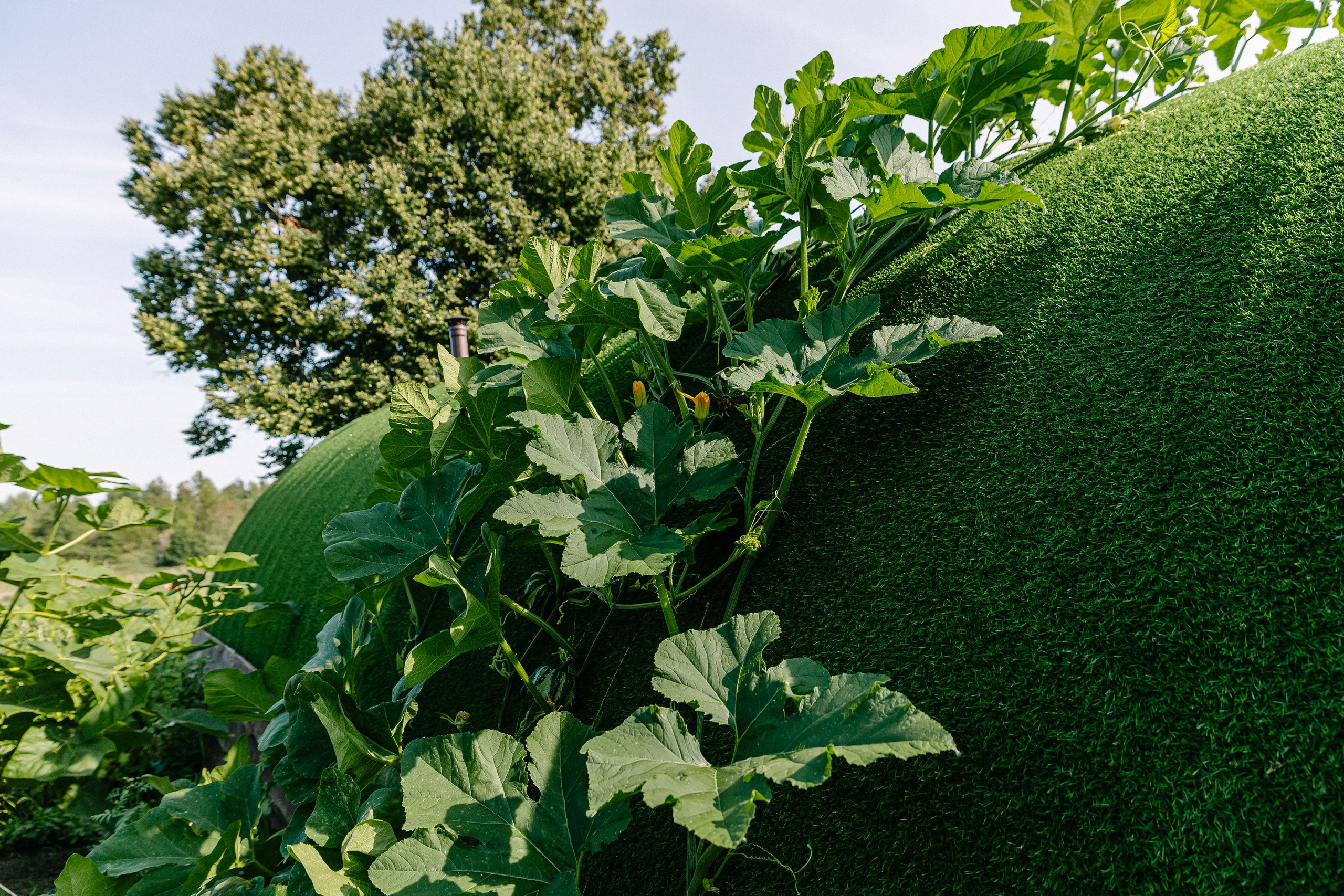 Съёмка объекта недвижимости Хутор Нёттникен. Свадебный, семейный и детский фотограф в Калининграде Елена Кравцова